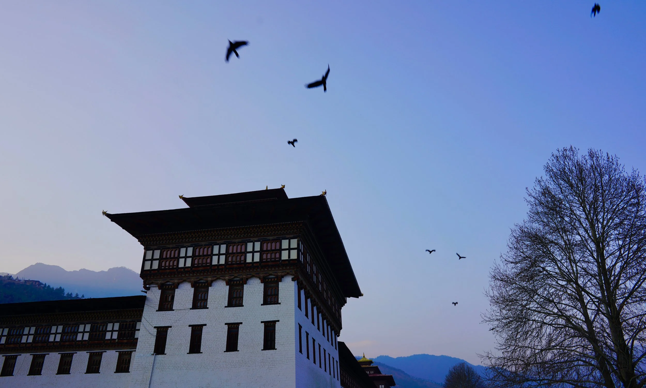 The Kingdom Of Happiness