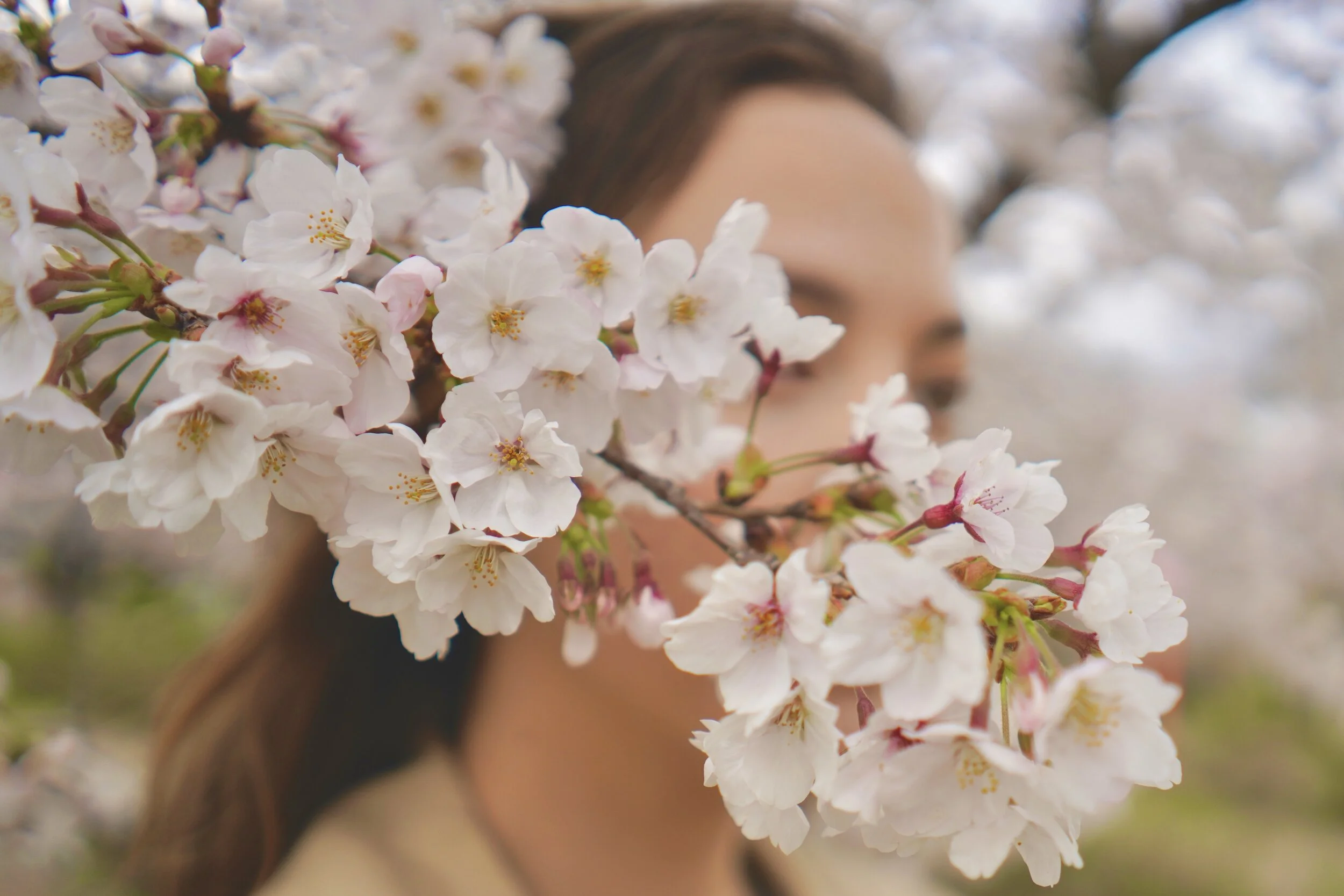 The Impermanence Of Things