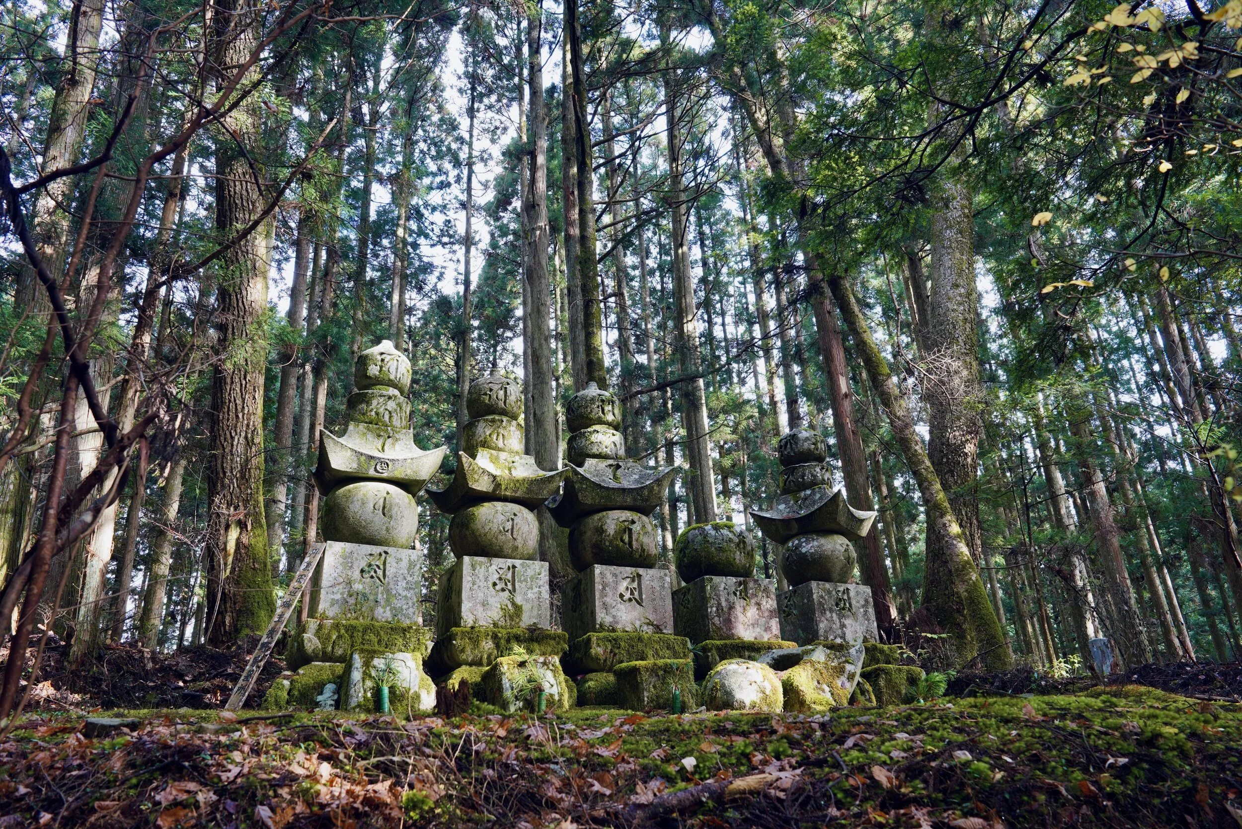 In The Mist Of The Heavens