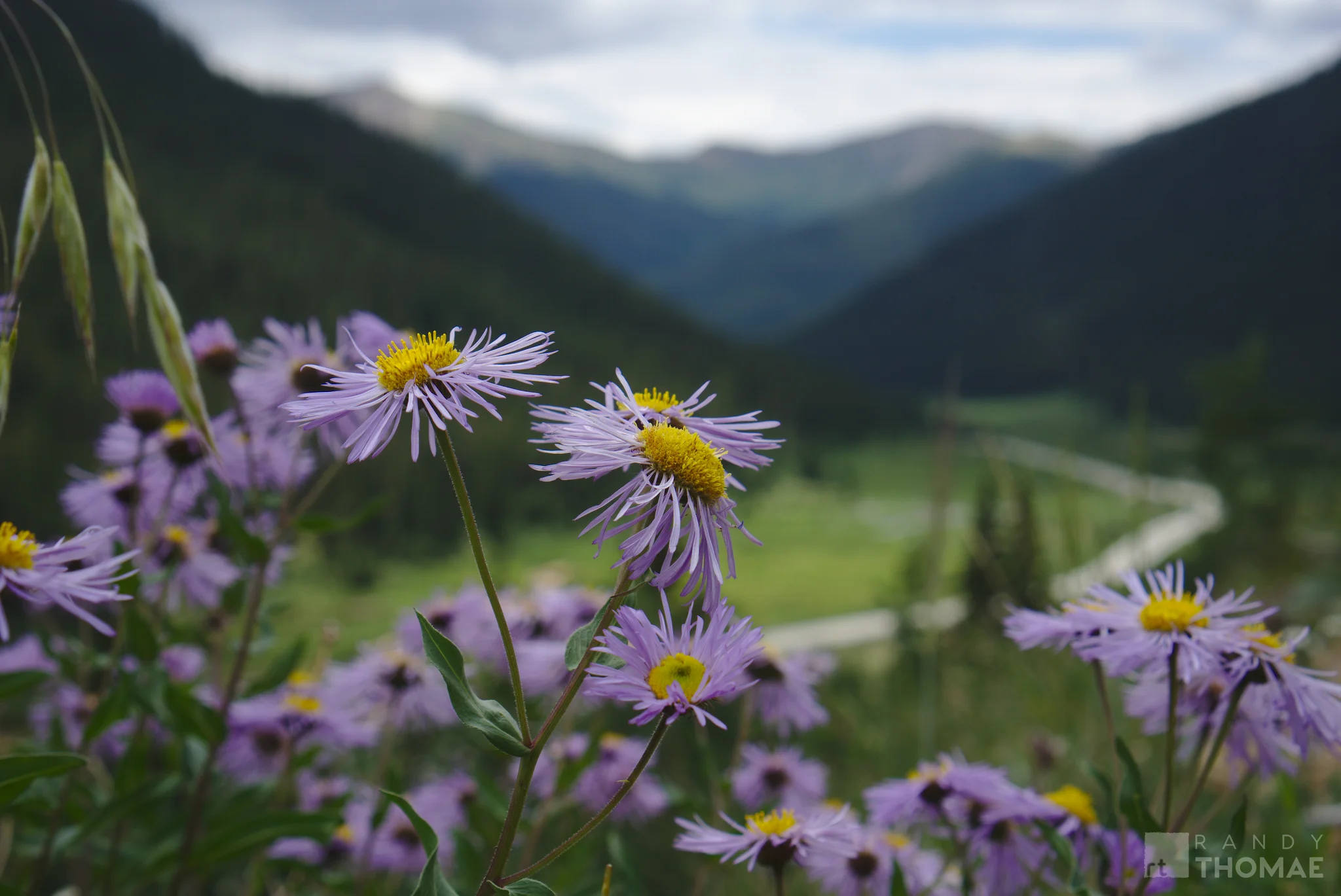 180713_Independence-Pass_0265.jpg