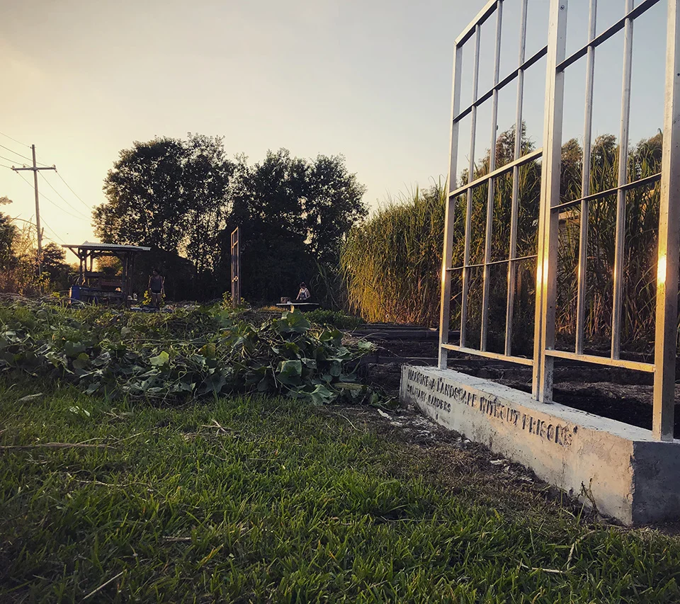 Andry steet sunset bed.jpg