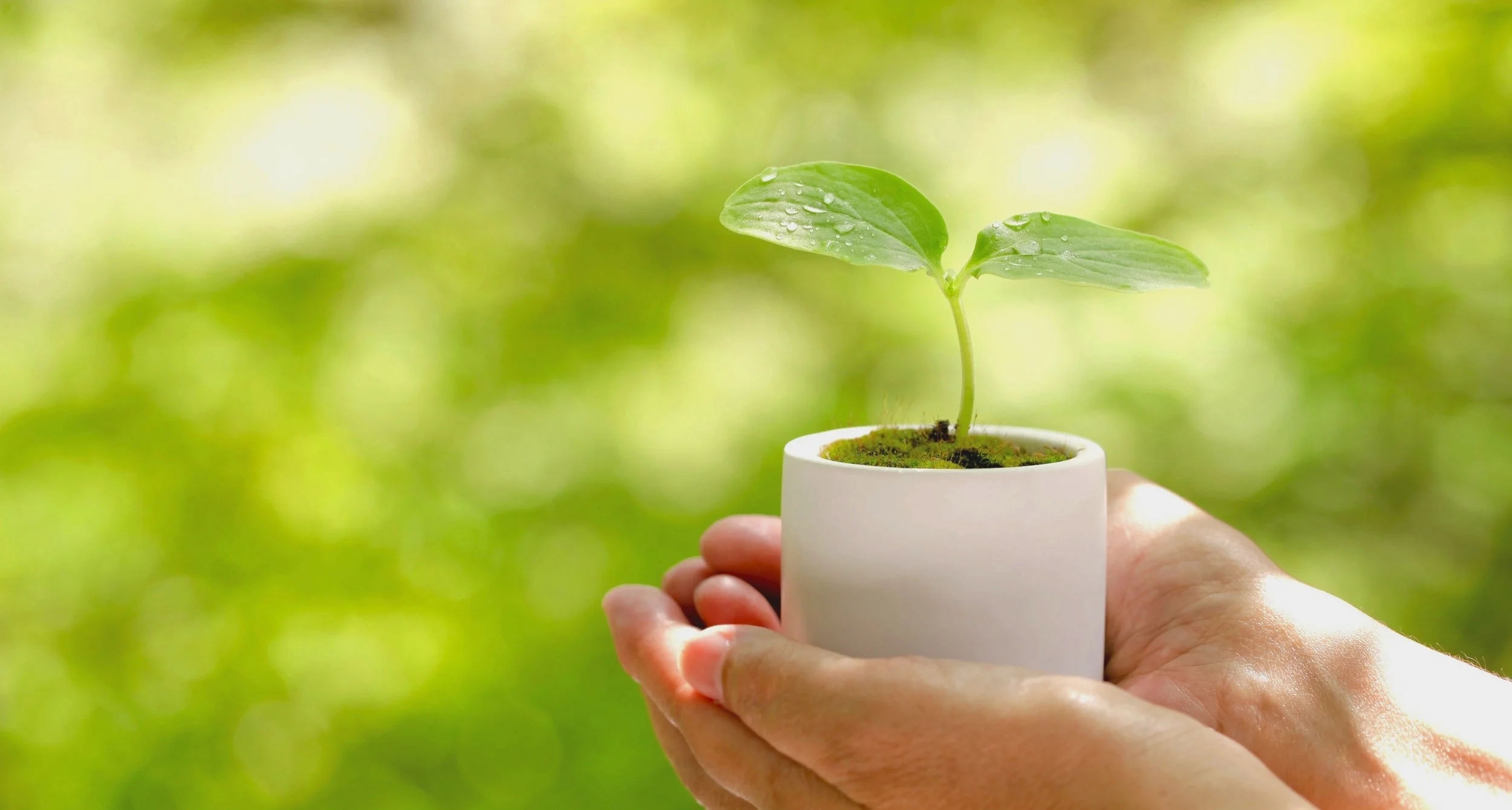 AdobeStock_52825800.jpg