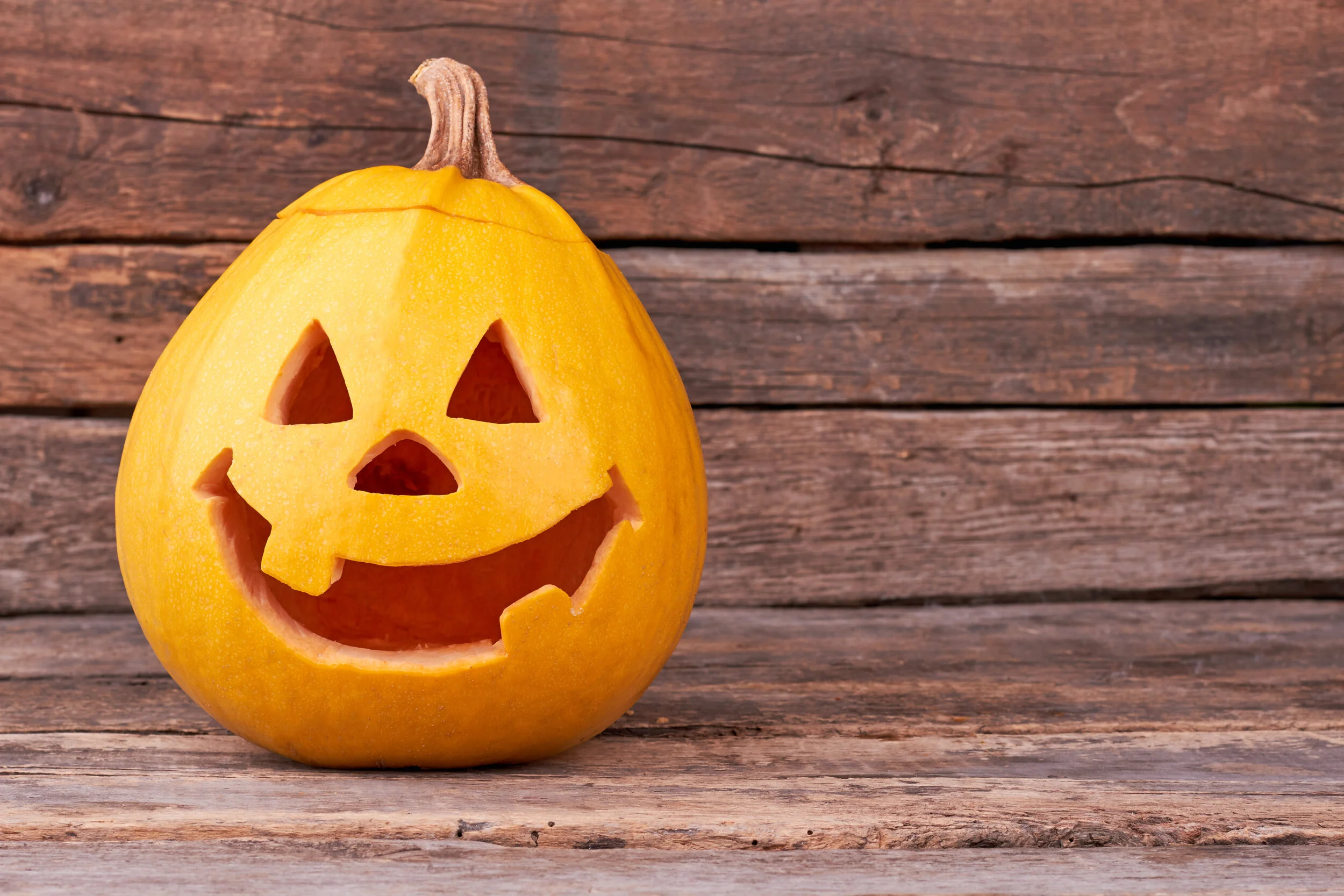 AdobeStock_225346382.jpeg