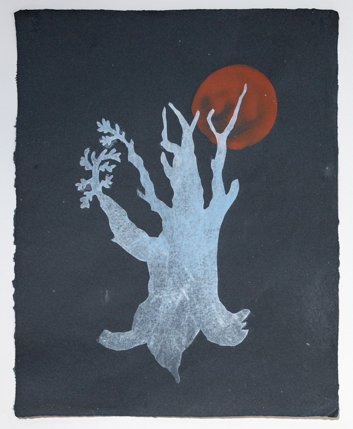 Bristlecone Pine II