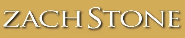 “ZACH STONE” LOGO TYPE SHADOW - .PNG