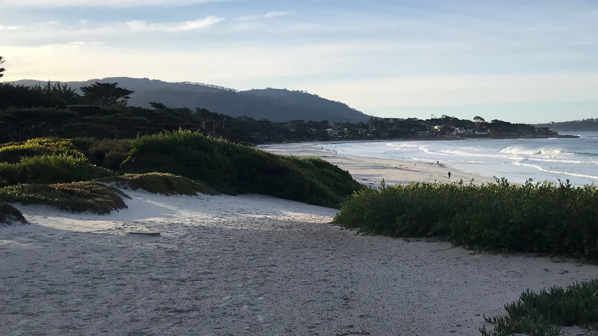 Carmel Beach Header.jpg