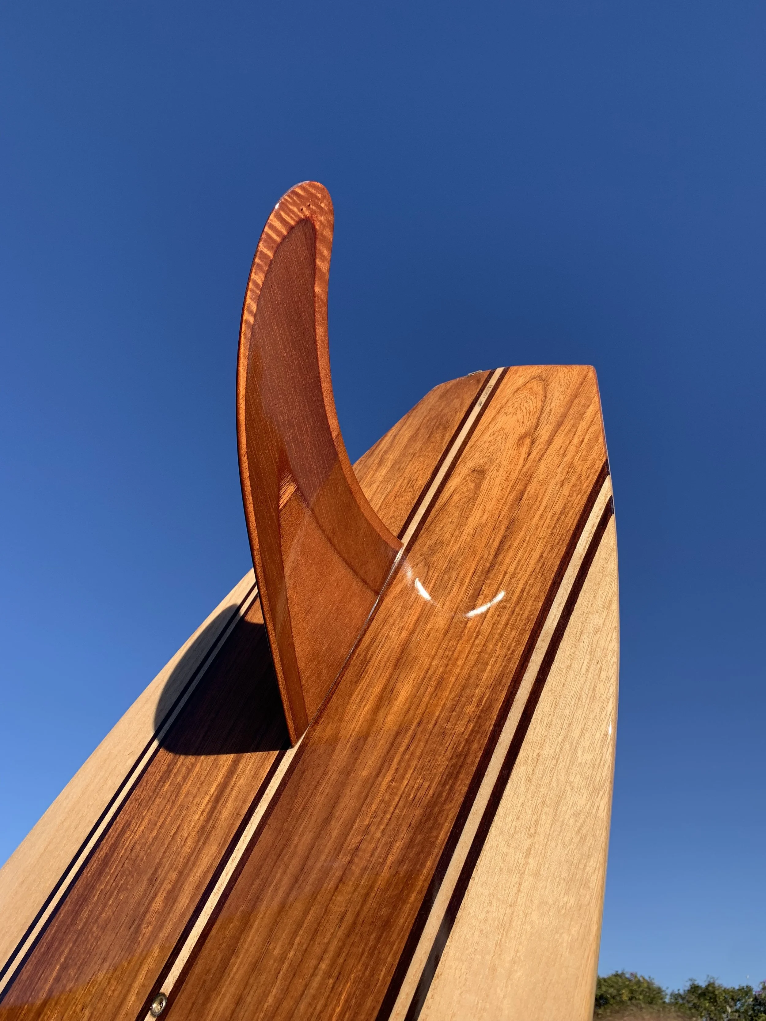 ecosurfboard bywater.jpg