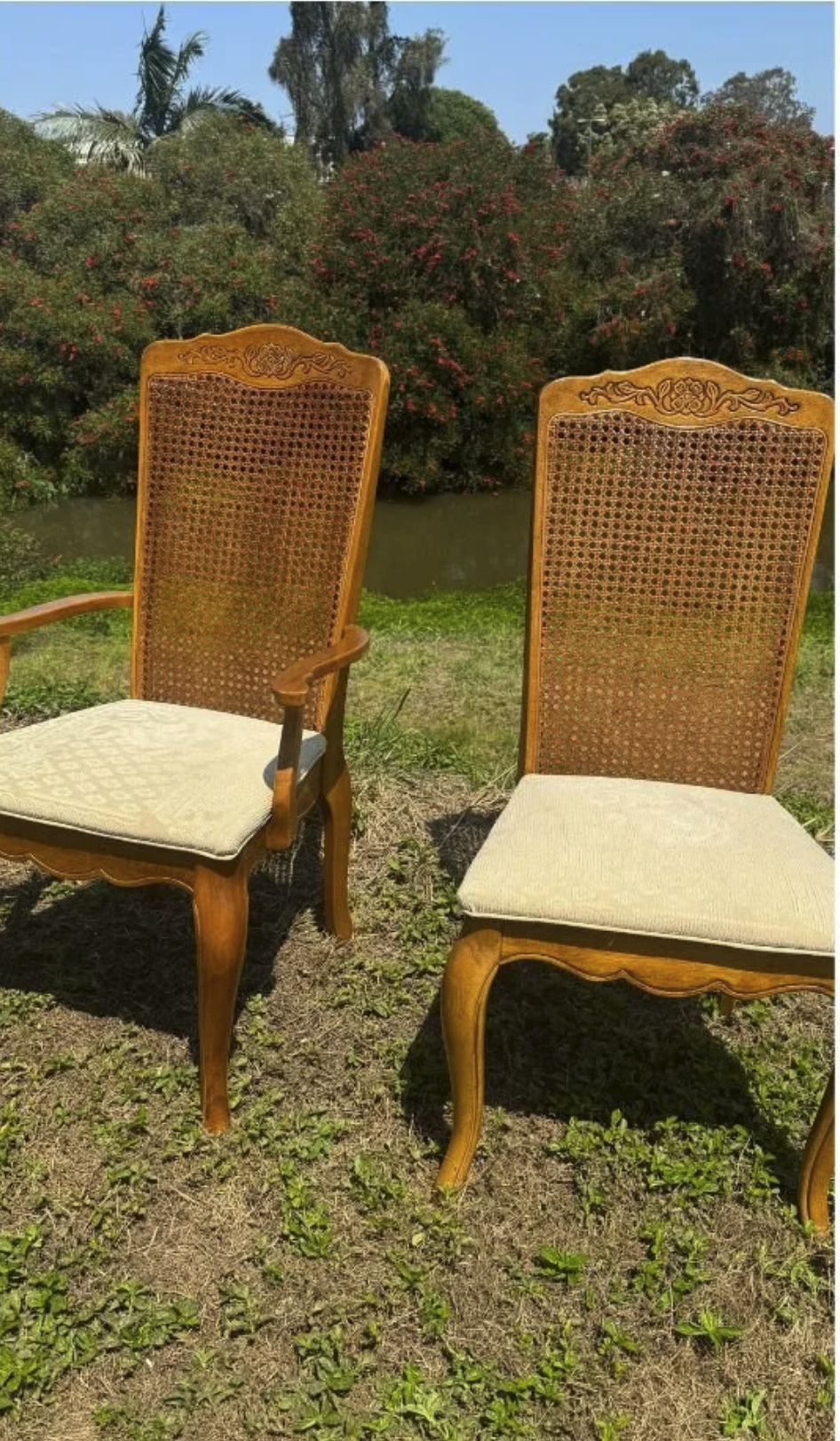 Two wooden chairs with woven backs and cushioned seats outdoors on grass, with a pond and bushy trees in the background.