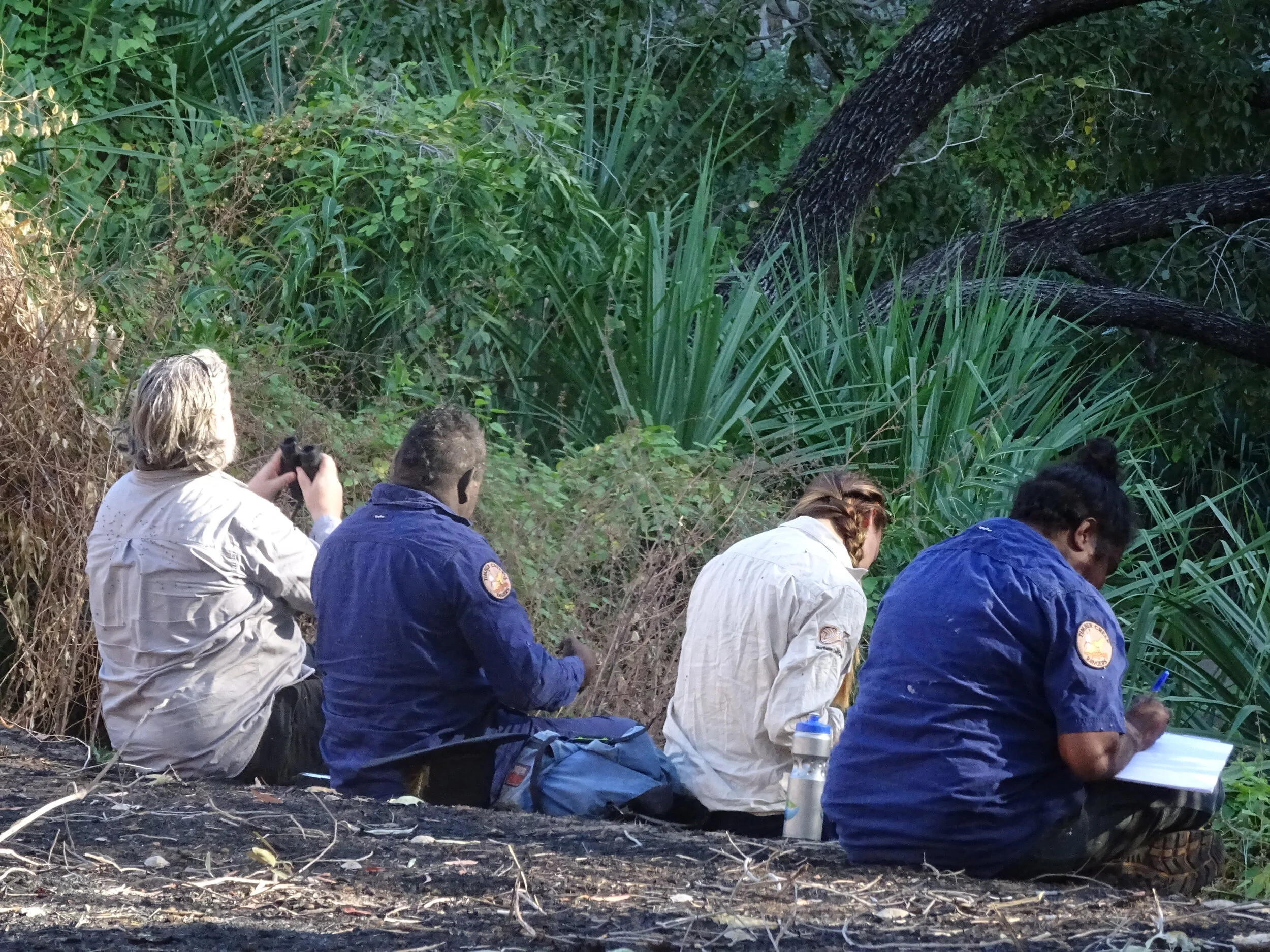 BirdLife's Indigenous Grant with a KBA Focus - Now Open until end of May