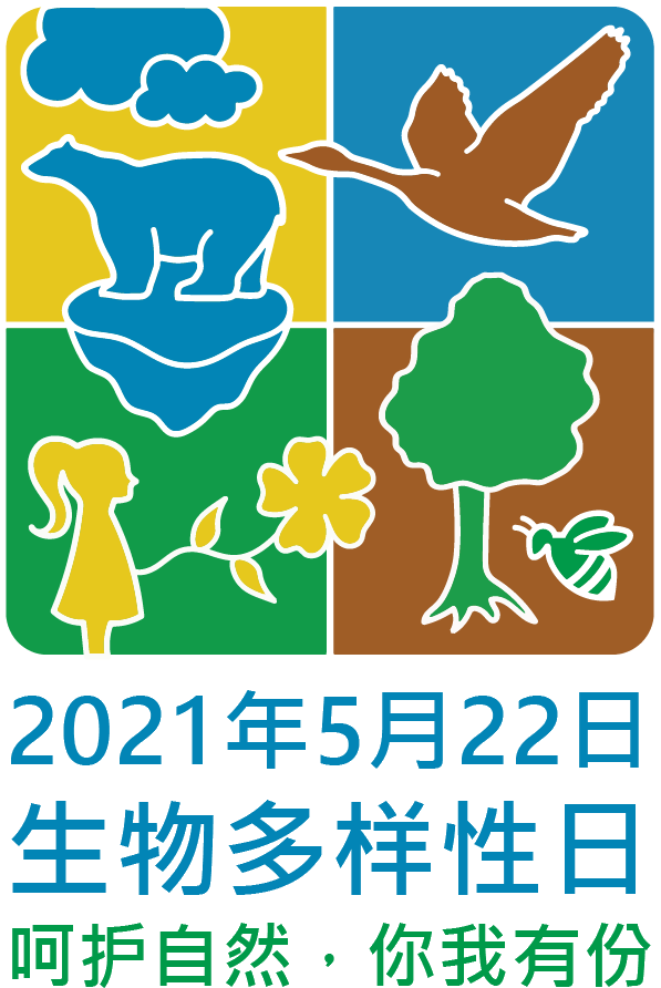 idb-2021-logo-zh-vertical.png