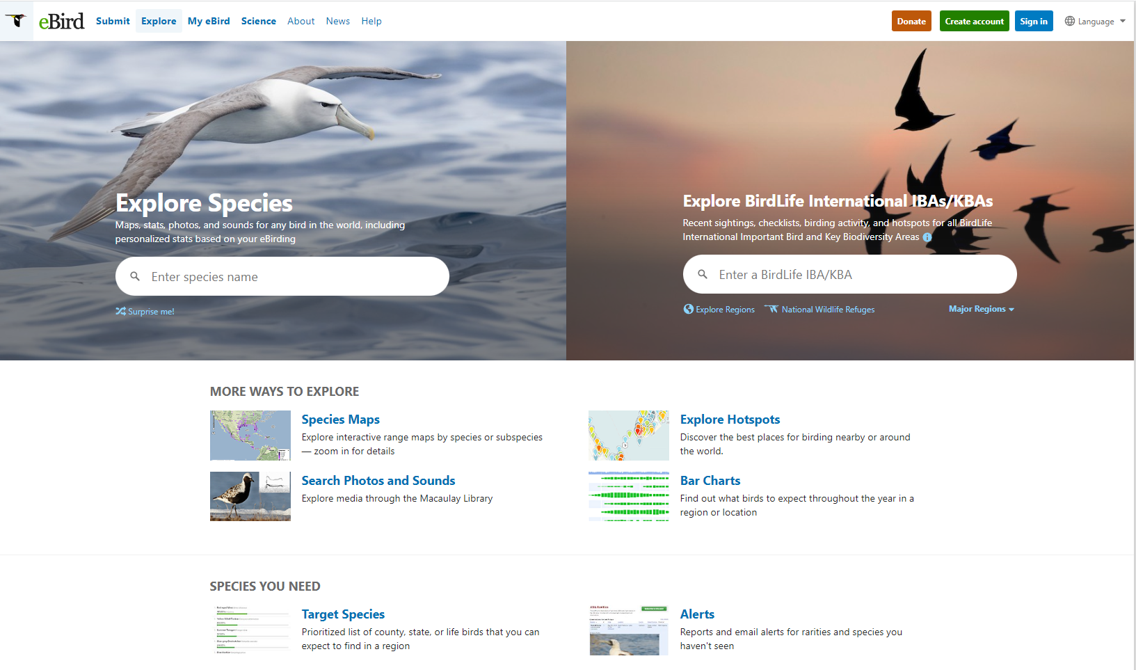 Global birding giant eBird collaborates with BirdLife International on KBAs