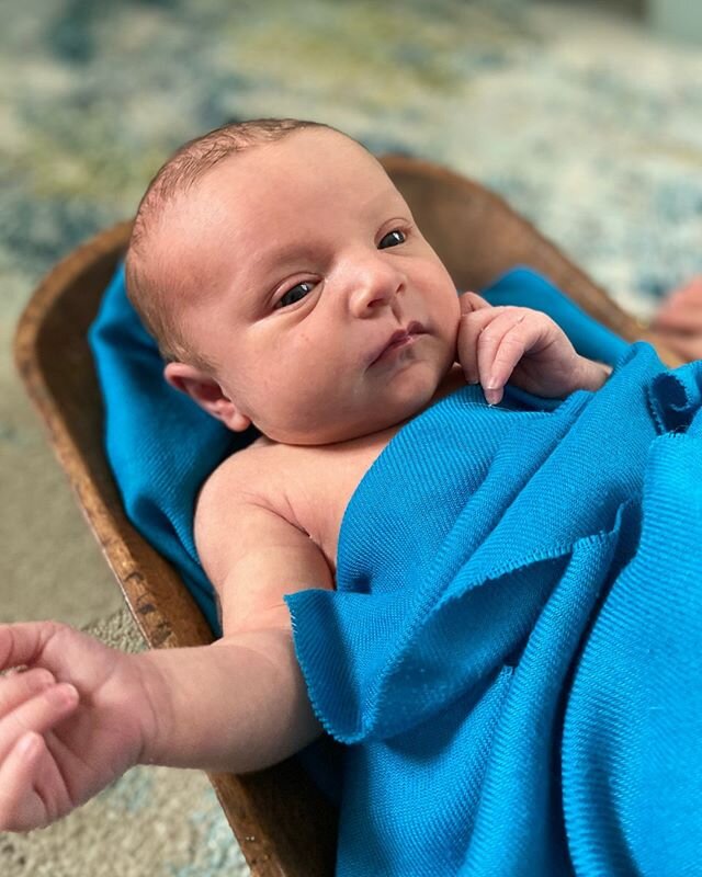 During this dark and unsettling time, we wanted to shed a little bit of light.

Please welcome Ellena &quot;Ellie&quot; Lamb Whitman! Born on May 27th at 6:03 PM weighing 8lbs and 4oz. We can't wait for her to join the action on site with us!

#Saphi