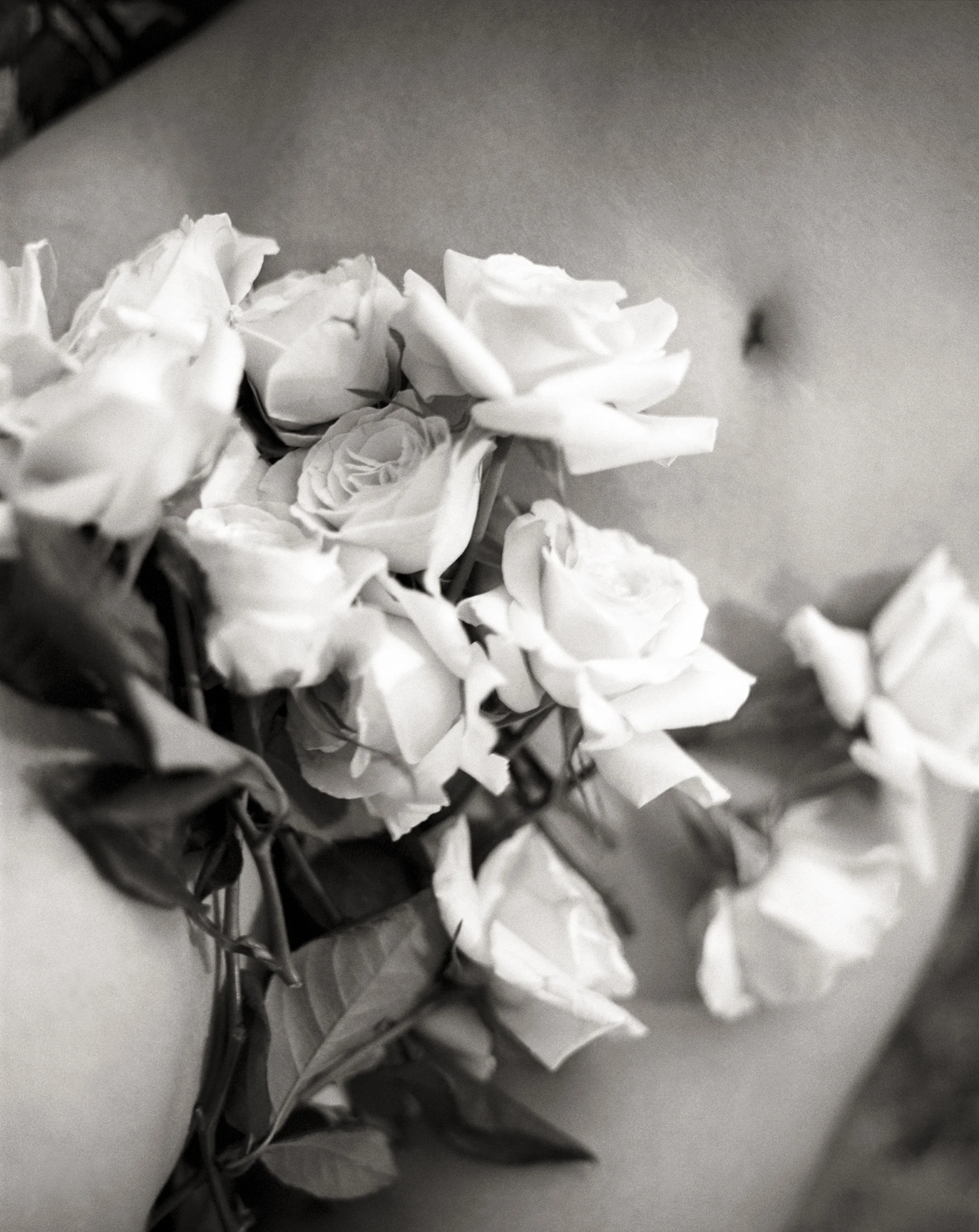 Nude with Flowers.jpg