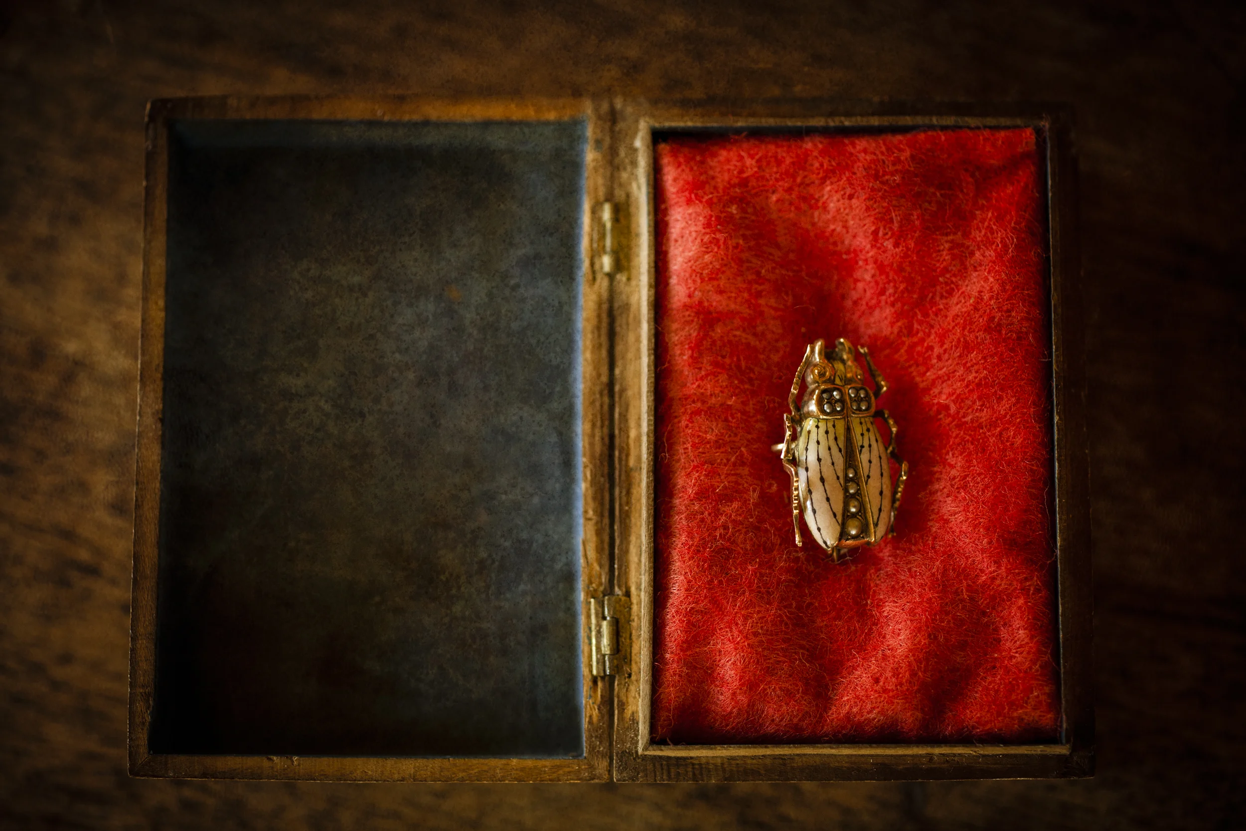 Scarab-3941.jpg