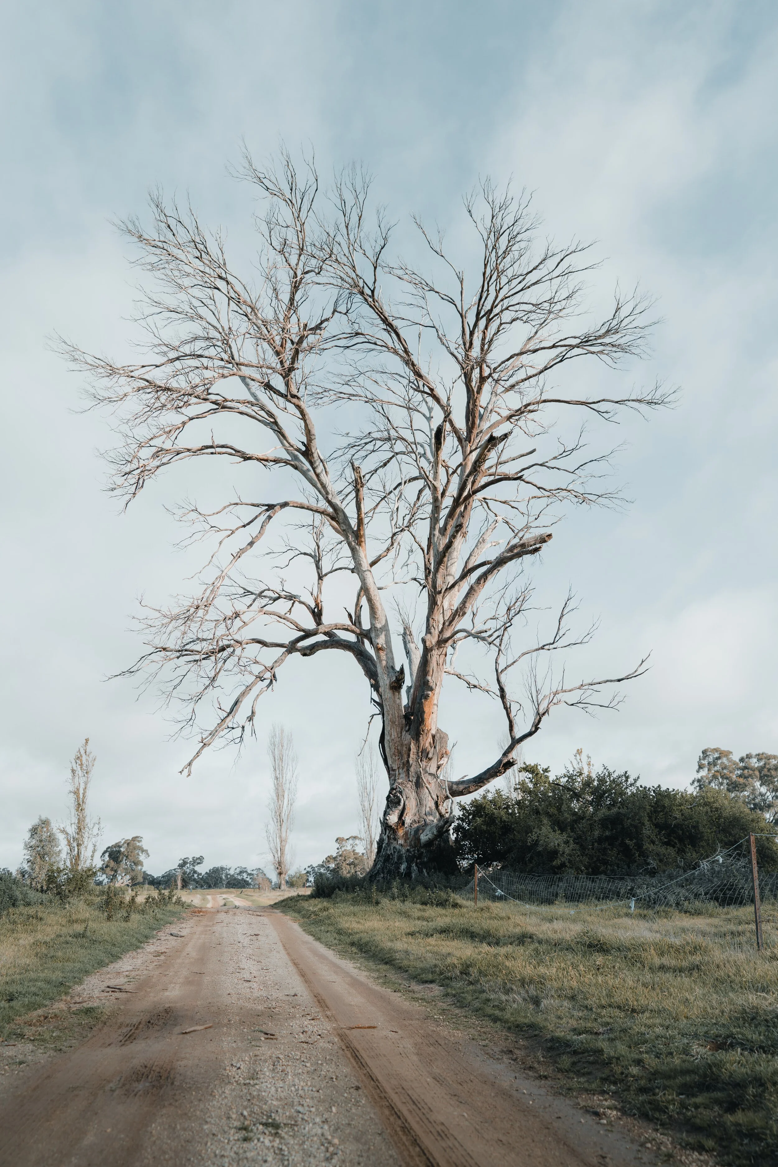 An archaeological eye not only allows us to dream of deep time