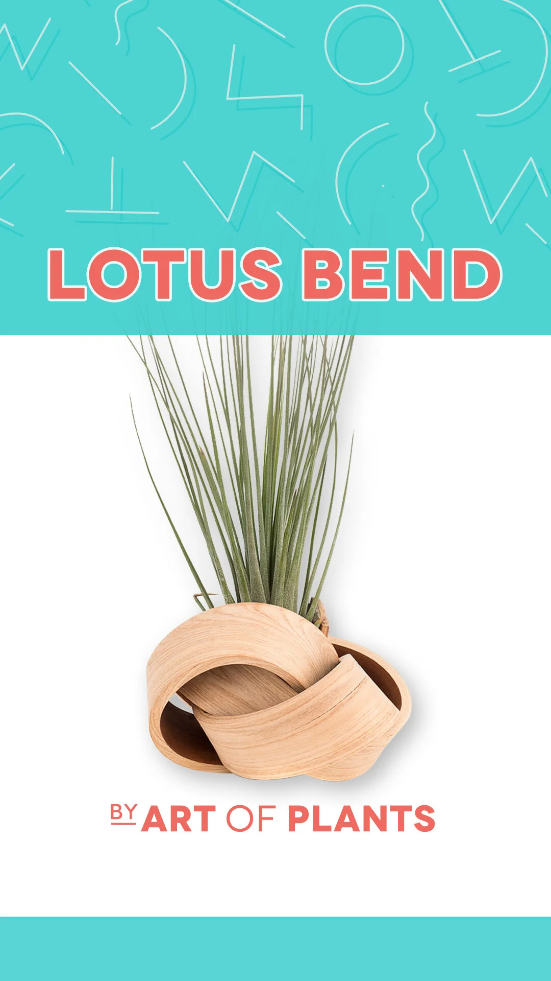 MikMak_Title Card Design_03-d.jpg