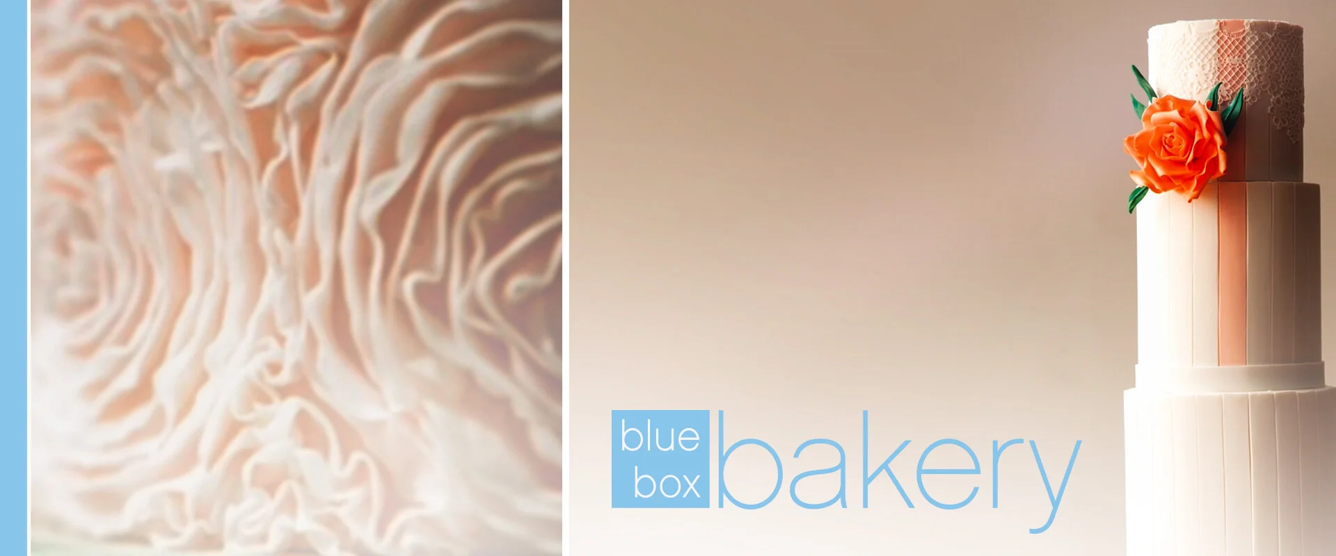 BBB_Header_02.jpg