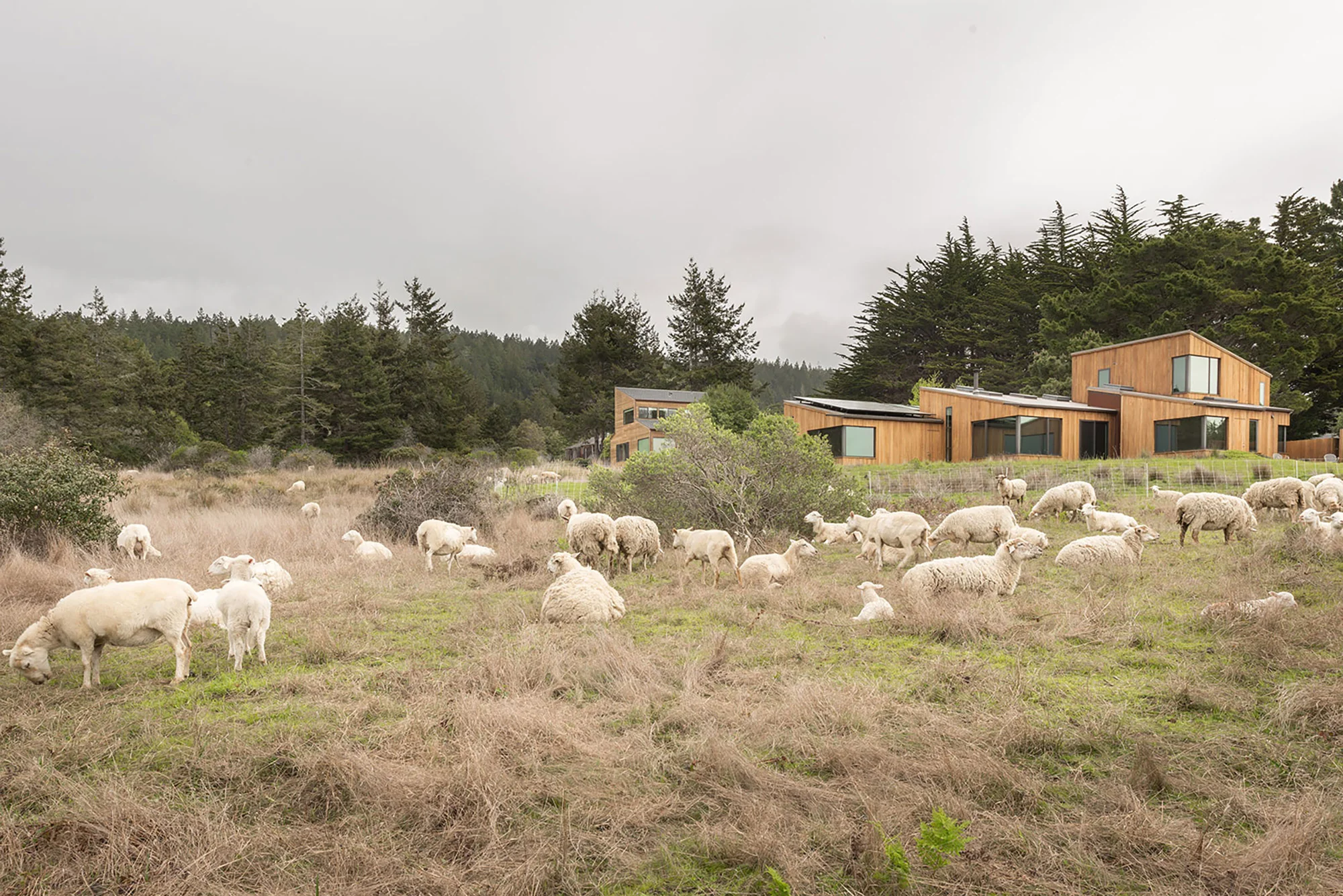 Fisch House at The Sea Ranch by Bergtraun Studio