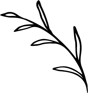 Branch_black@3x.png