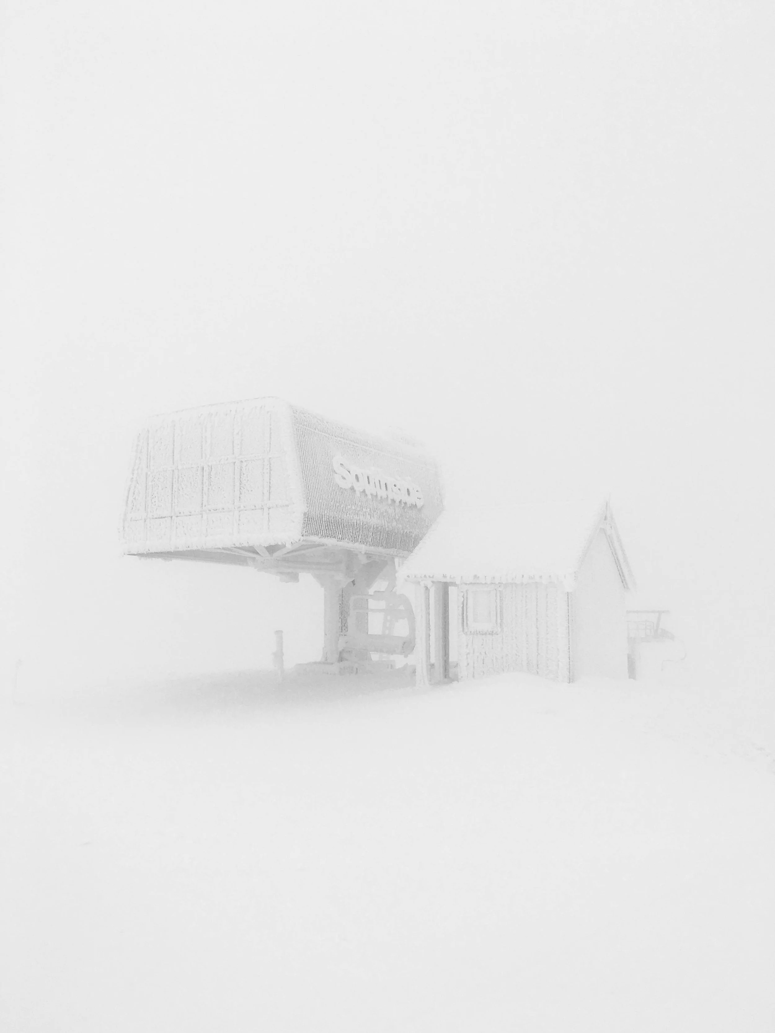 Mt Buller , Victoria (2016)