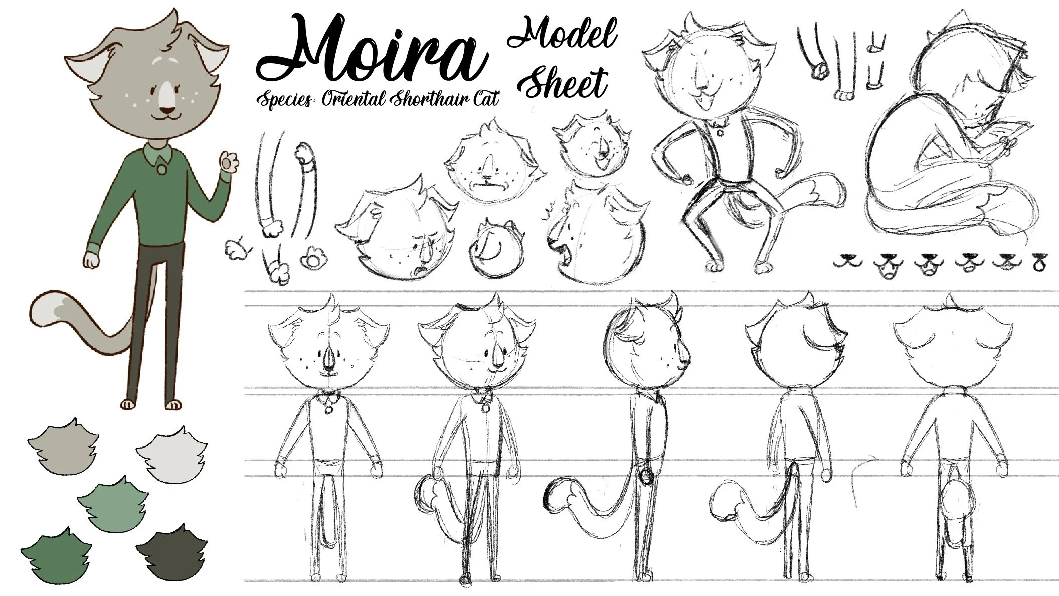 Moira_Model_Sheet_.jpg