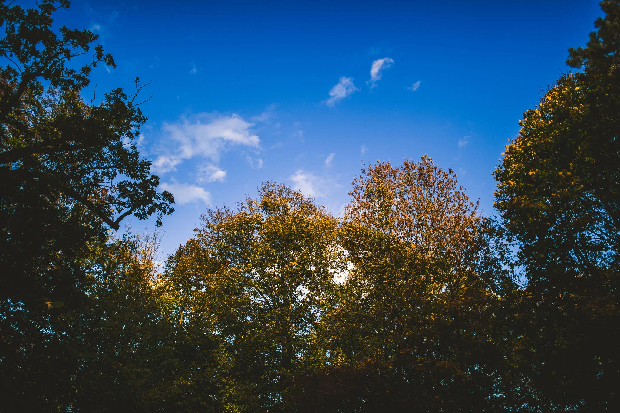 elbe-elster-herbst.jpg