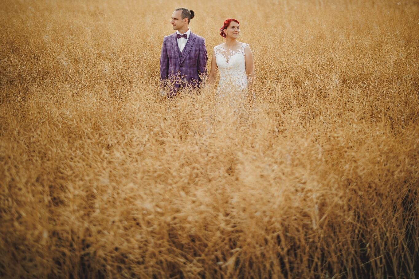 // 👰🤵Lydia + Ronny ❤️ //
.
.
.
#lovemyjob #hochzeitsfotograf #hochzeiten_spreewald #hochzeiten_lausitz #hochzeiten_brandenburg #hochzeiten_sachsen #hochzeitsreportage #hochzeitsfotografdresden #hochzeitsfotografie #hochzeitslocation #hochzeitsfiebe