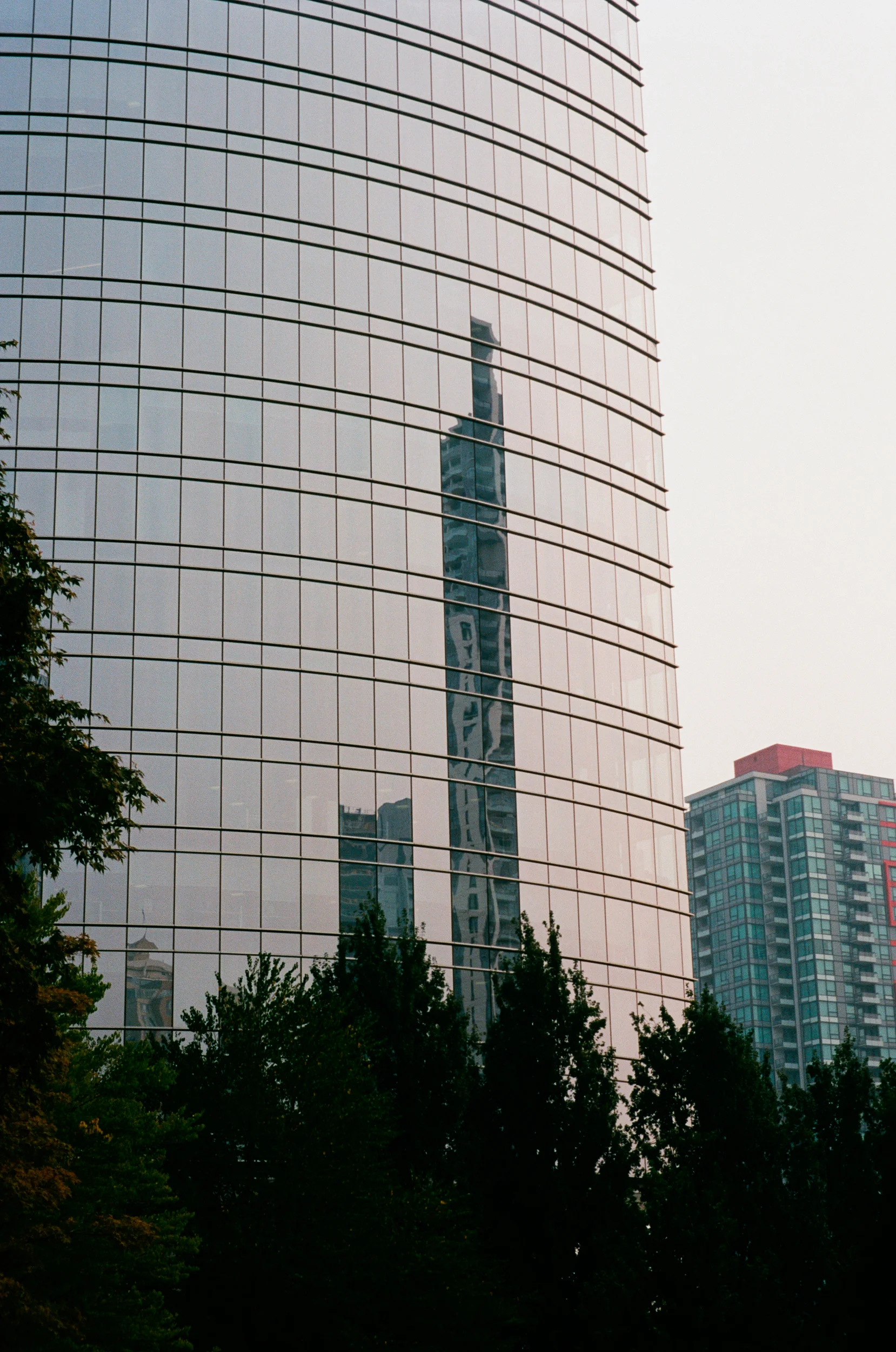 1897-008.jpg