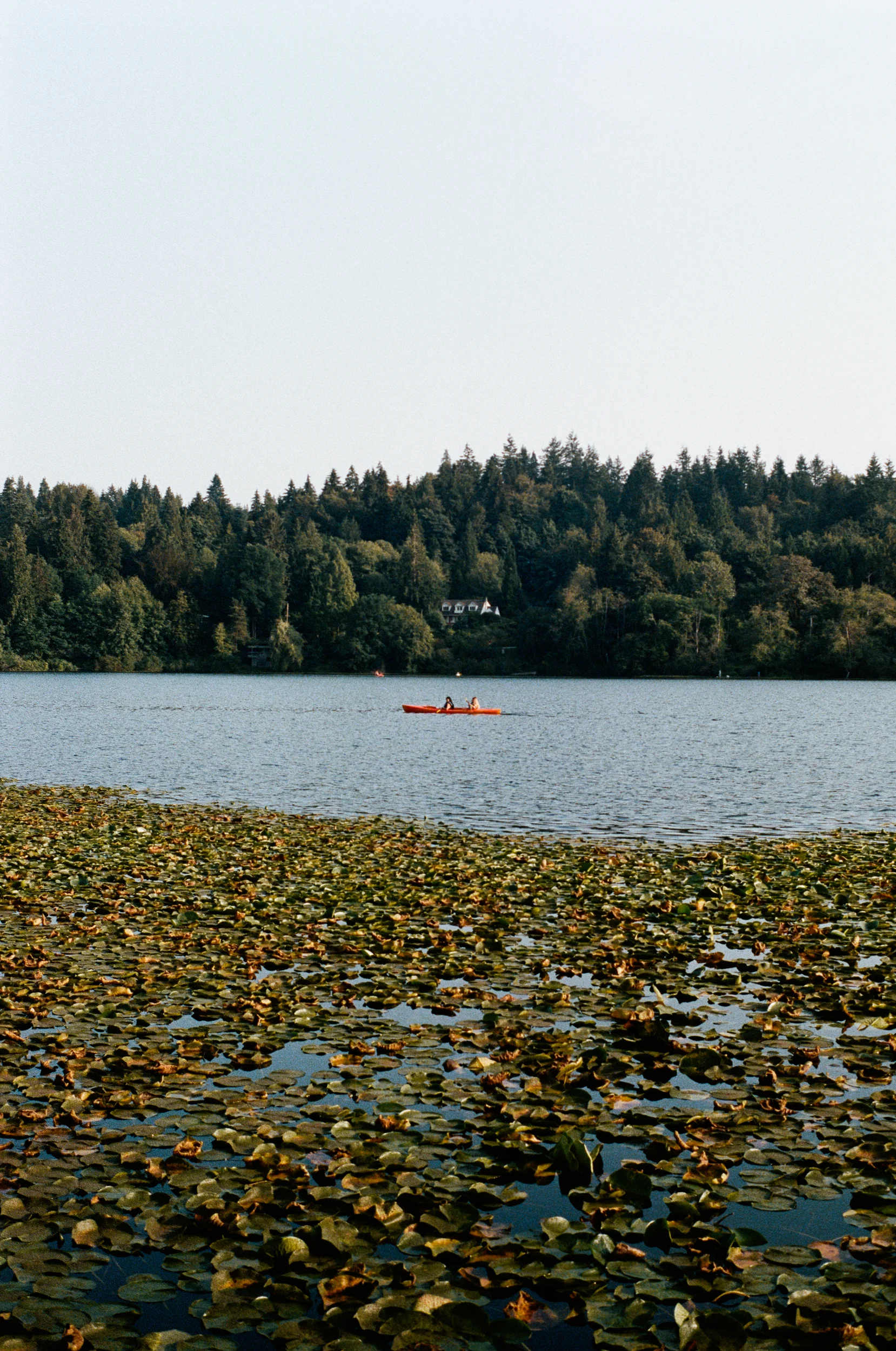 1903-018.jpg