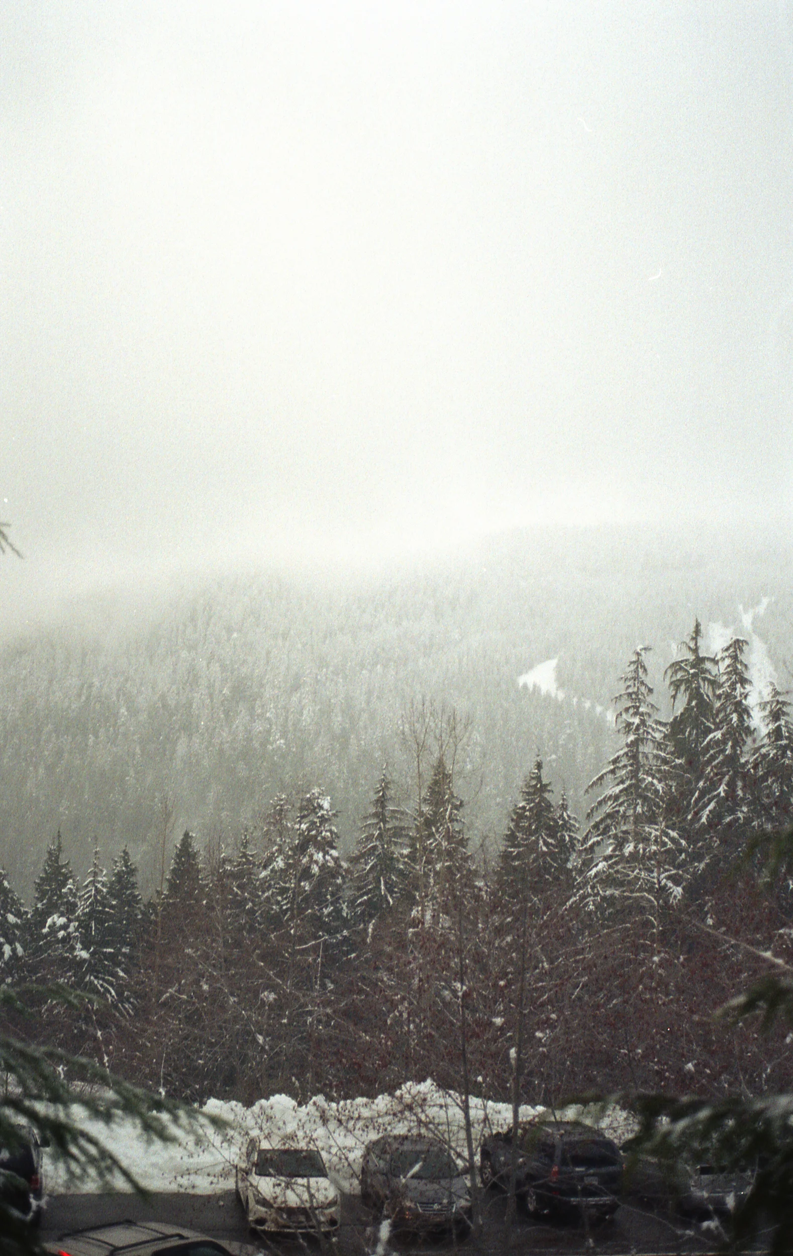 Cypress-ColorPlus200-027.jpg