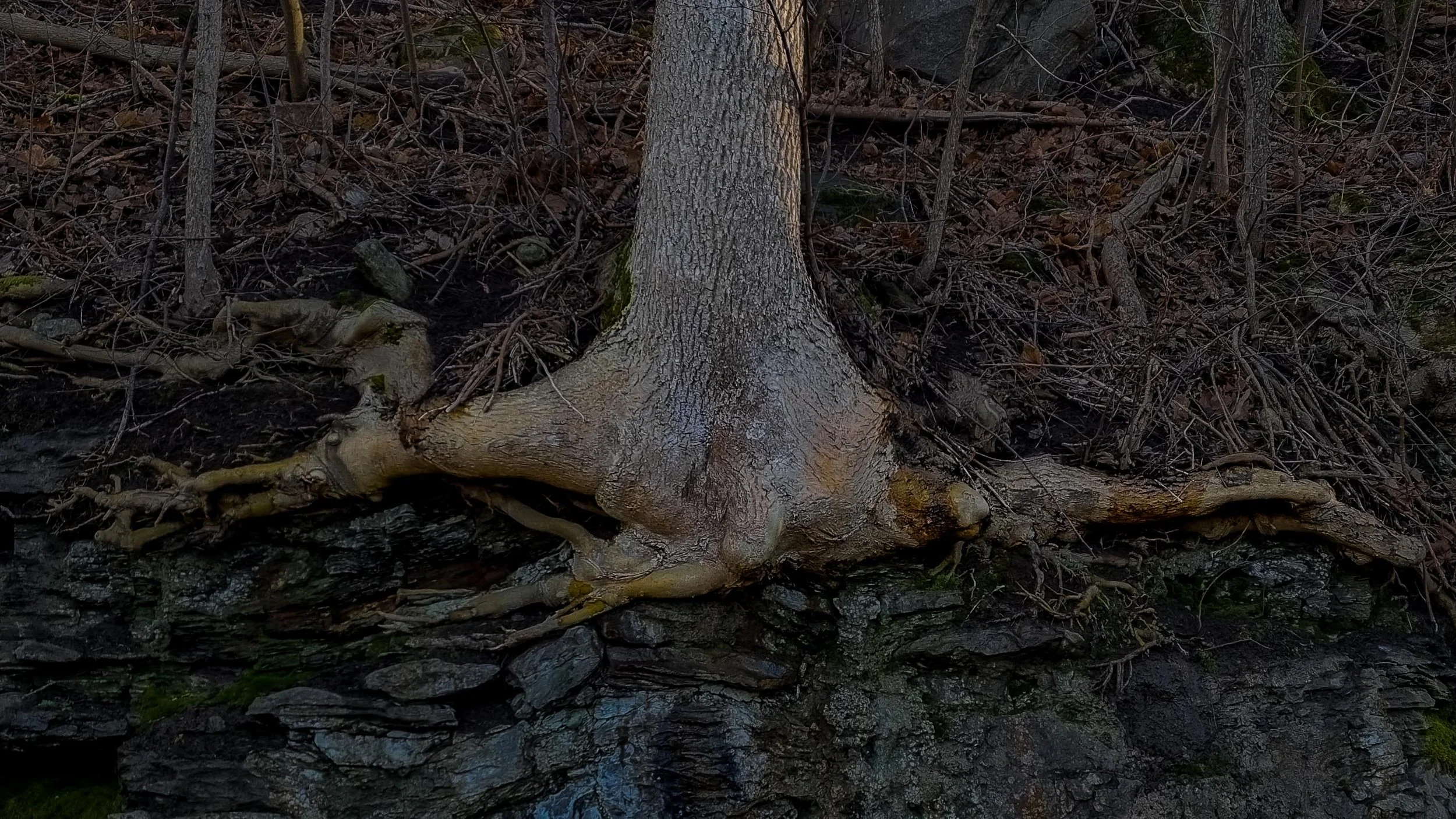 20220125_130852 - kopia.jpg