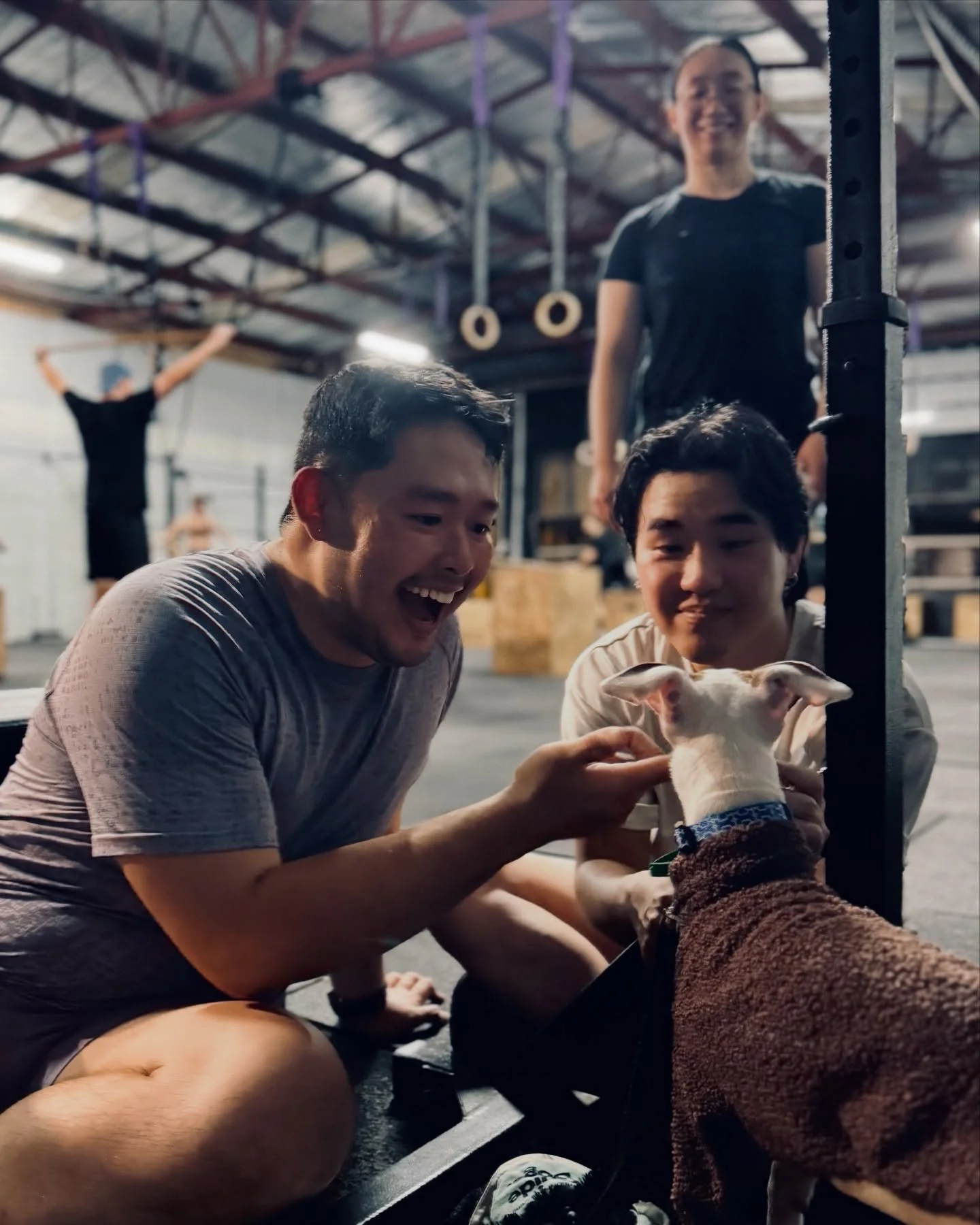 Come for the workout 🏋🏻&zwj;♂️ stay for Valentino 🐶
-
⚒️ #forgeathletic