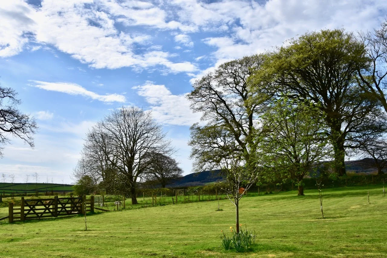DSC_0206.jpg