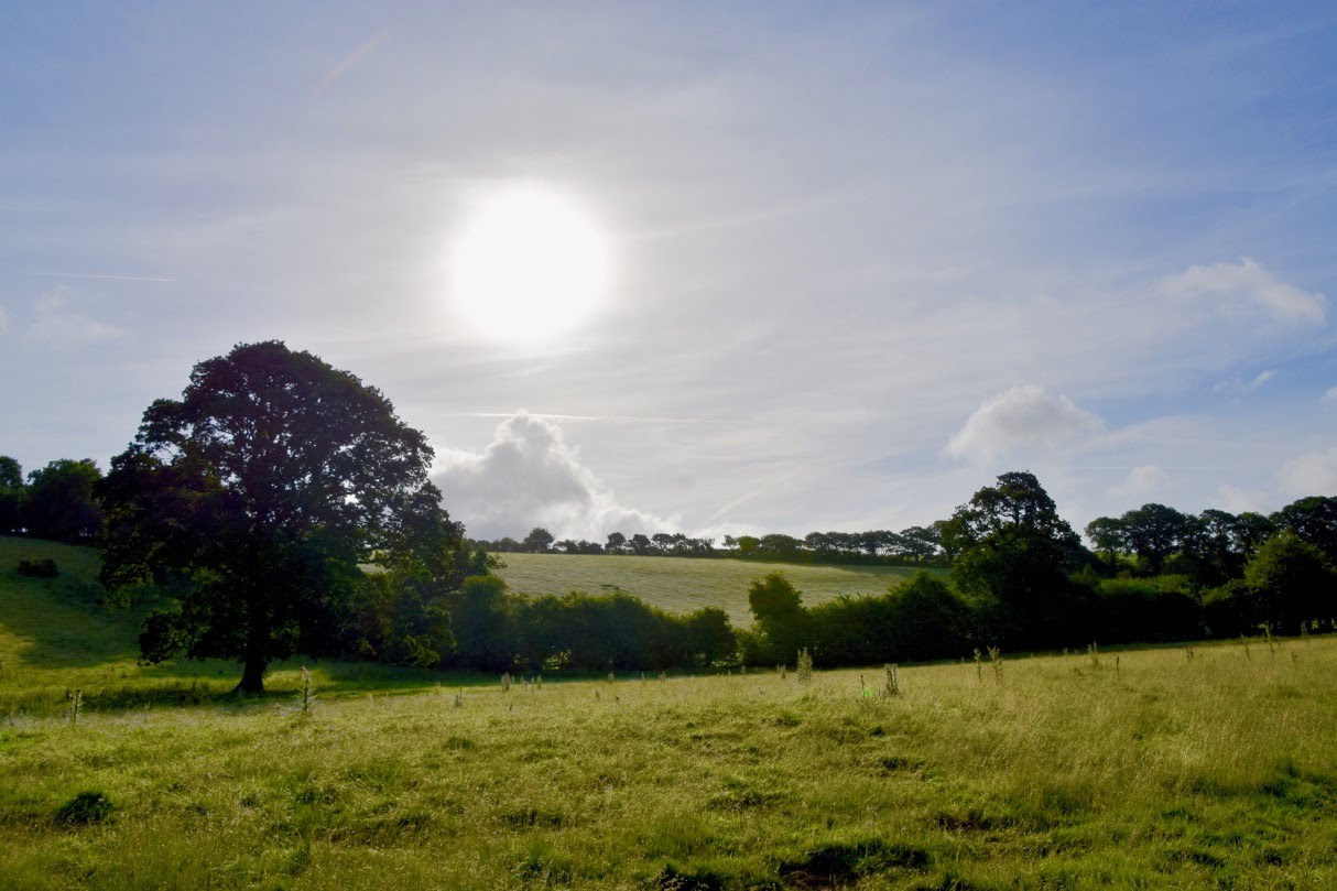 DSC_8772.jpg