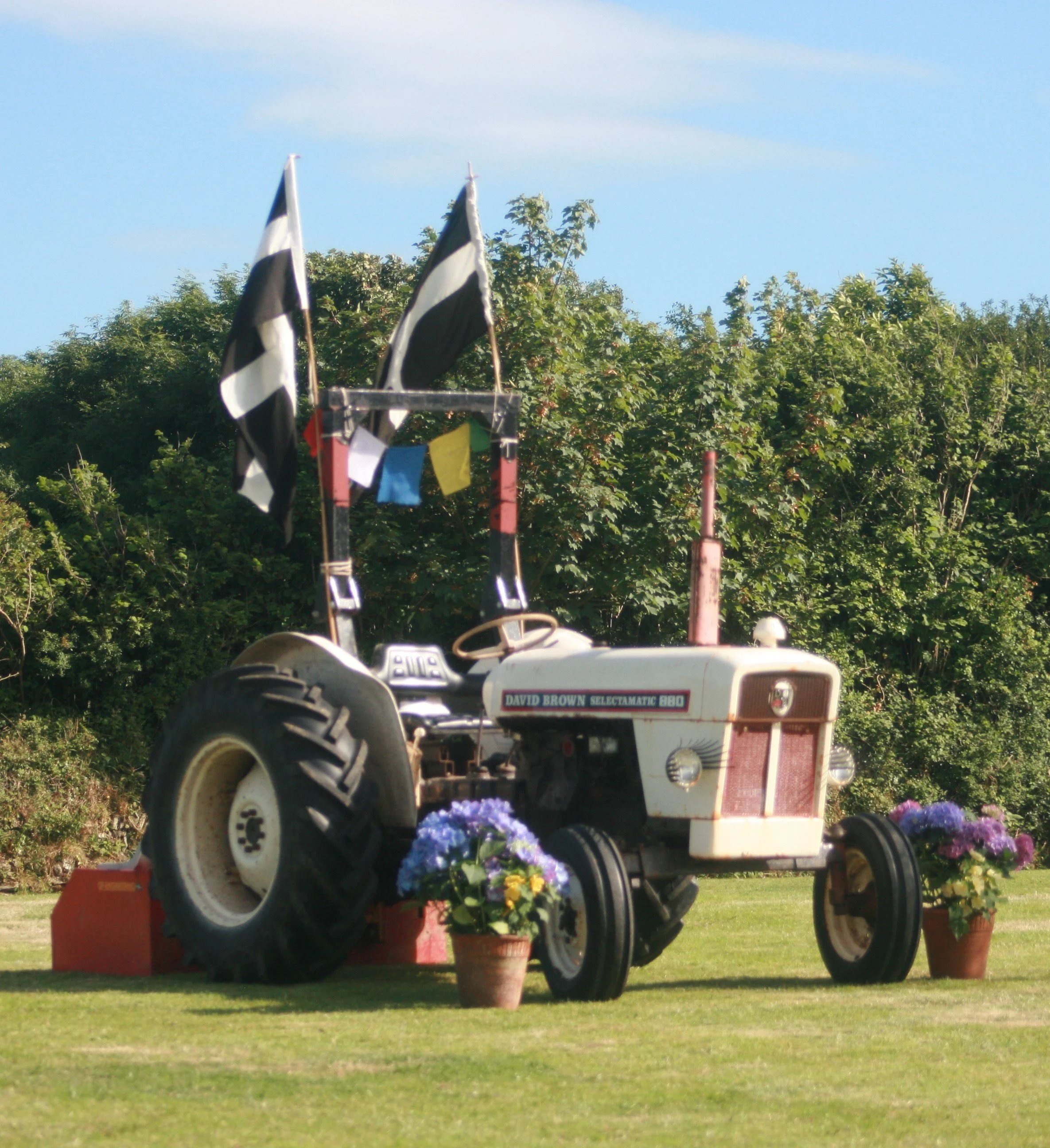 Cordelia 16.07.16 091.JPG