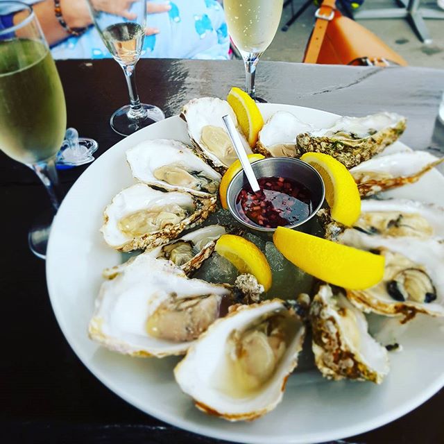 oysters and white wine