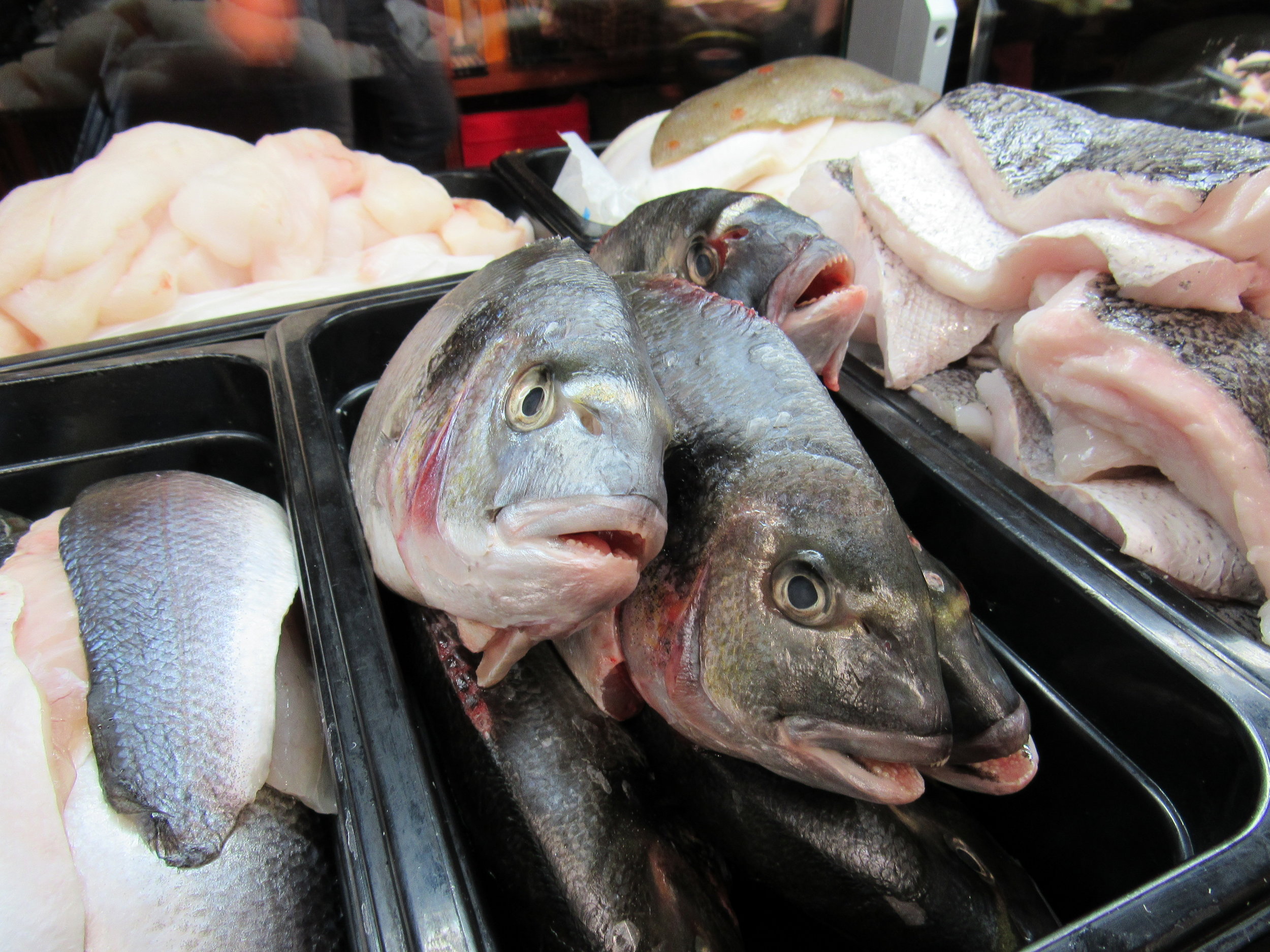 fresh fish in howth