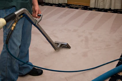 Steam_Carpet_Cleaning_Process.jpg