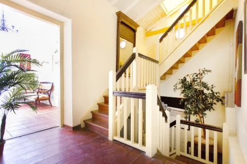 home-TAGEDESK-Curaçao-stagehuizen-Dolfijn-header.jpg
