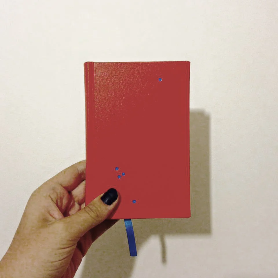 the-wanderers-book-credit-mr1 copy.jpg