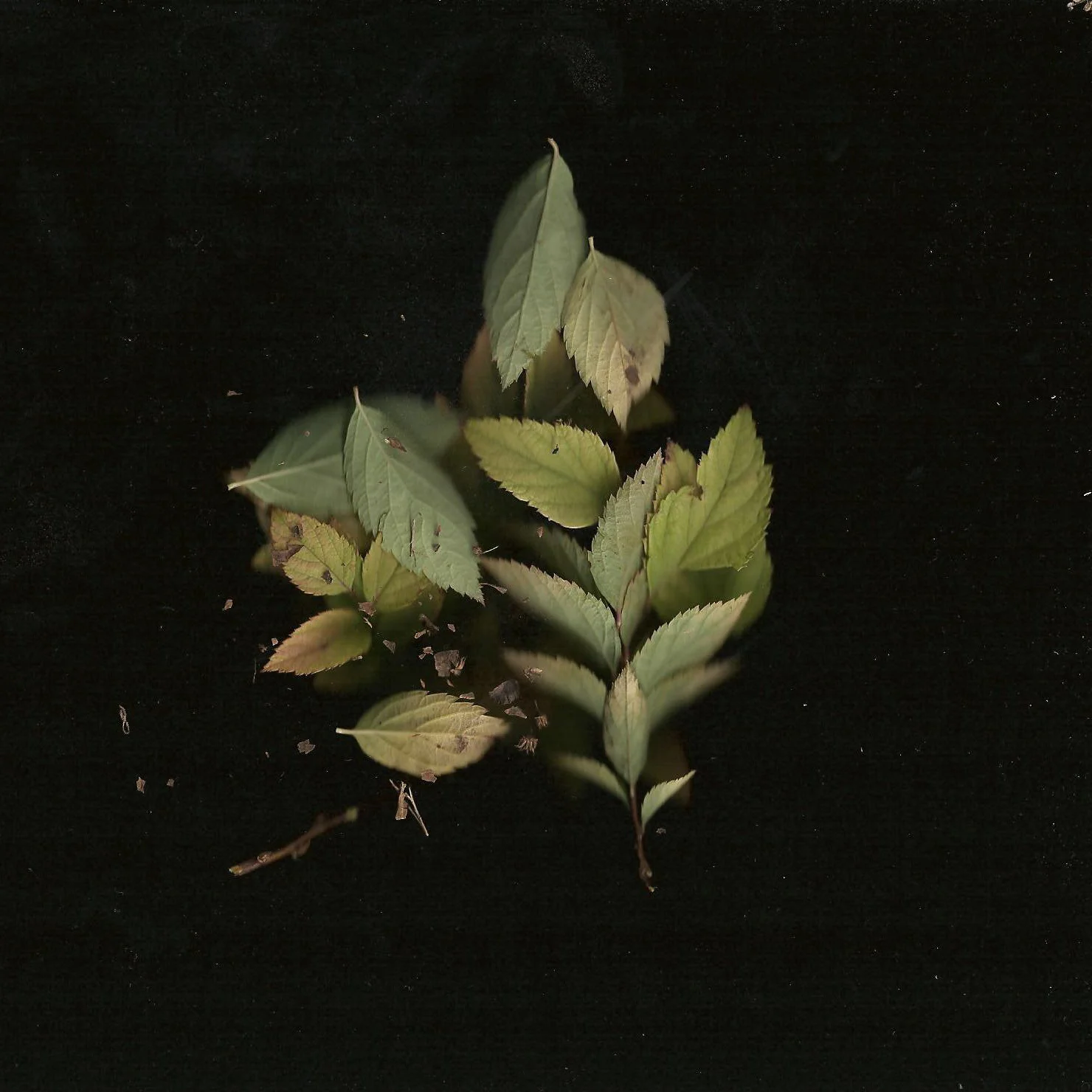 RitaScans 033 copy.jpg