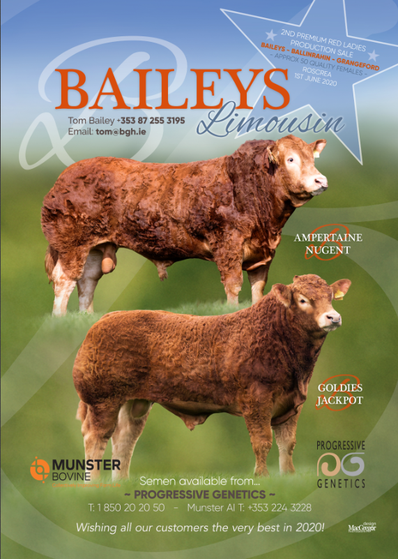 2020-02-10 Baileys-Limousin-19.png