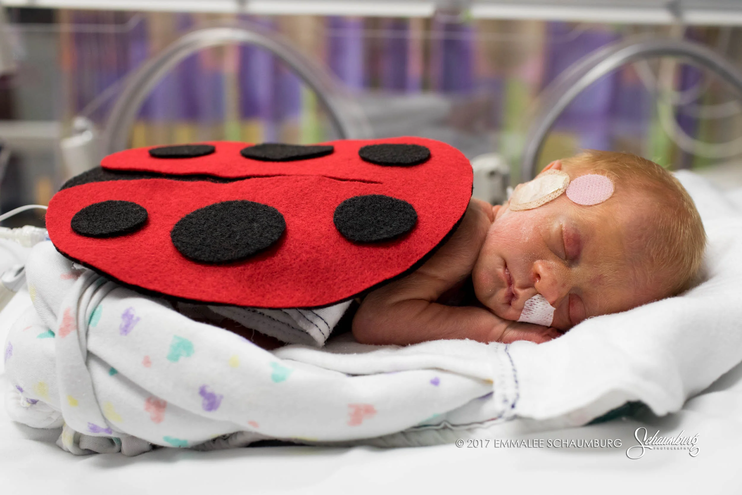 Scary Mommy | Volunteers Create Adorable Halloween Costumes For NICU Babies
