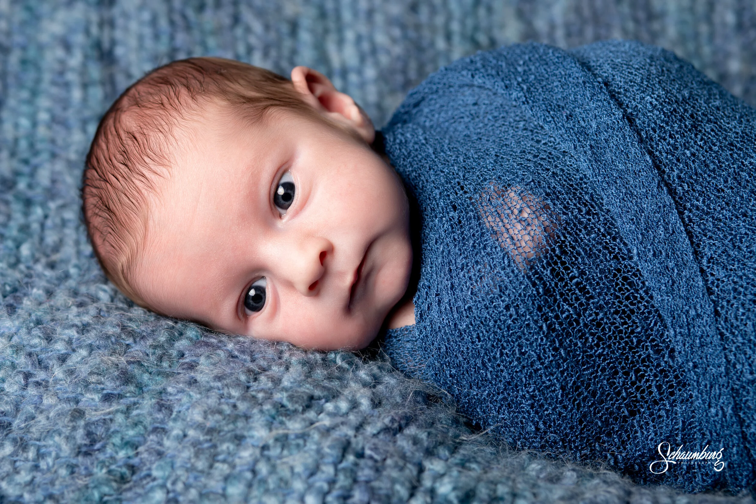 GT9A7176_Fike_social.jpg
