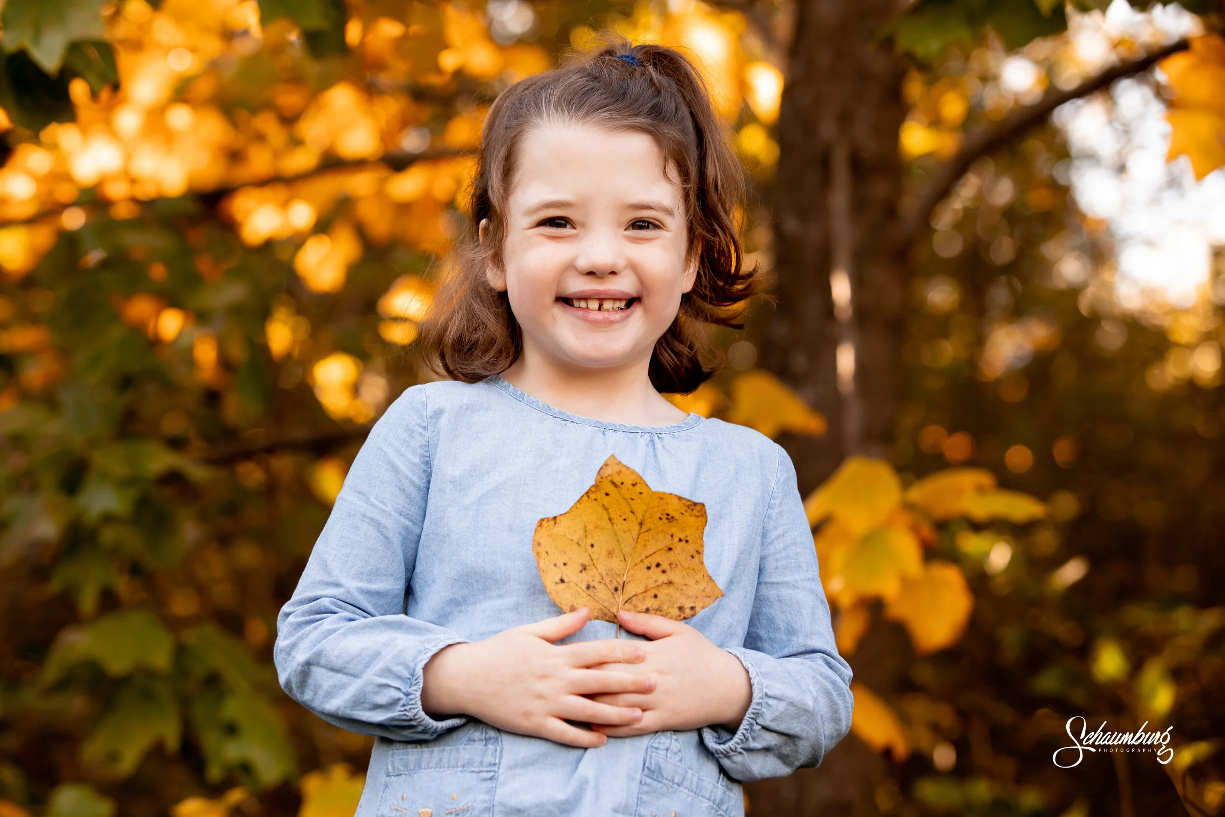 Eleanor's Six Year Portrait Session | Lawrence, KS Photographer