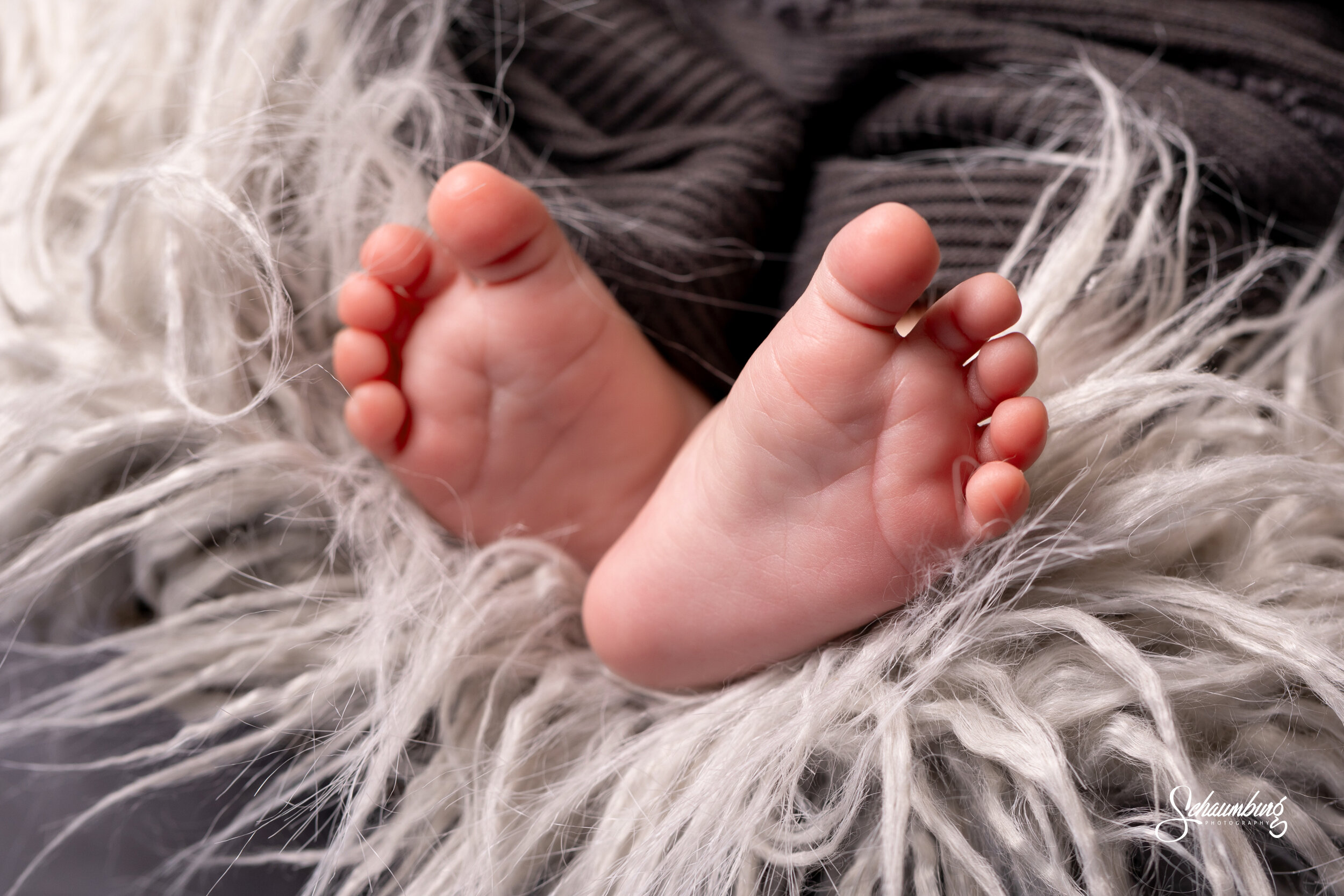 lawrence-ks-newborn-photographer-20.jpg