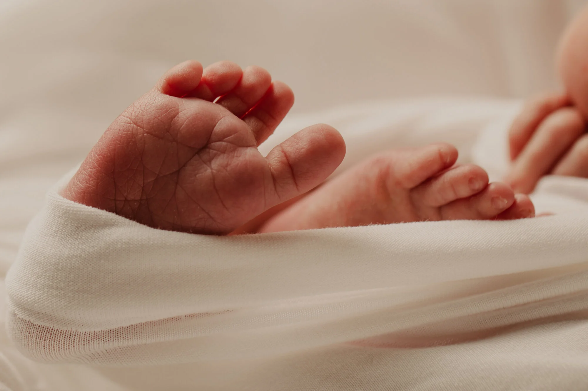 kansas_city_newborn_photographer_17.jpg