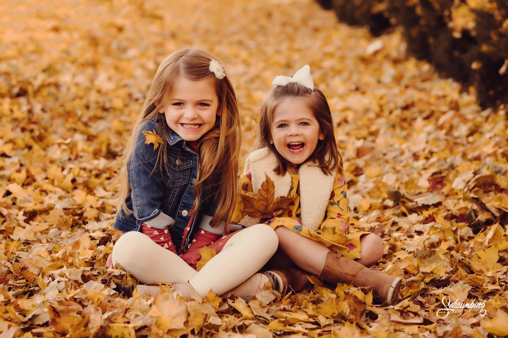 Siebenthall Family Session | Emmalee Schaumburg | Lawrence, KS Photographer
