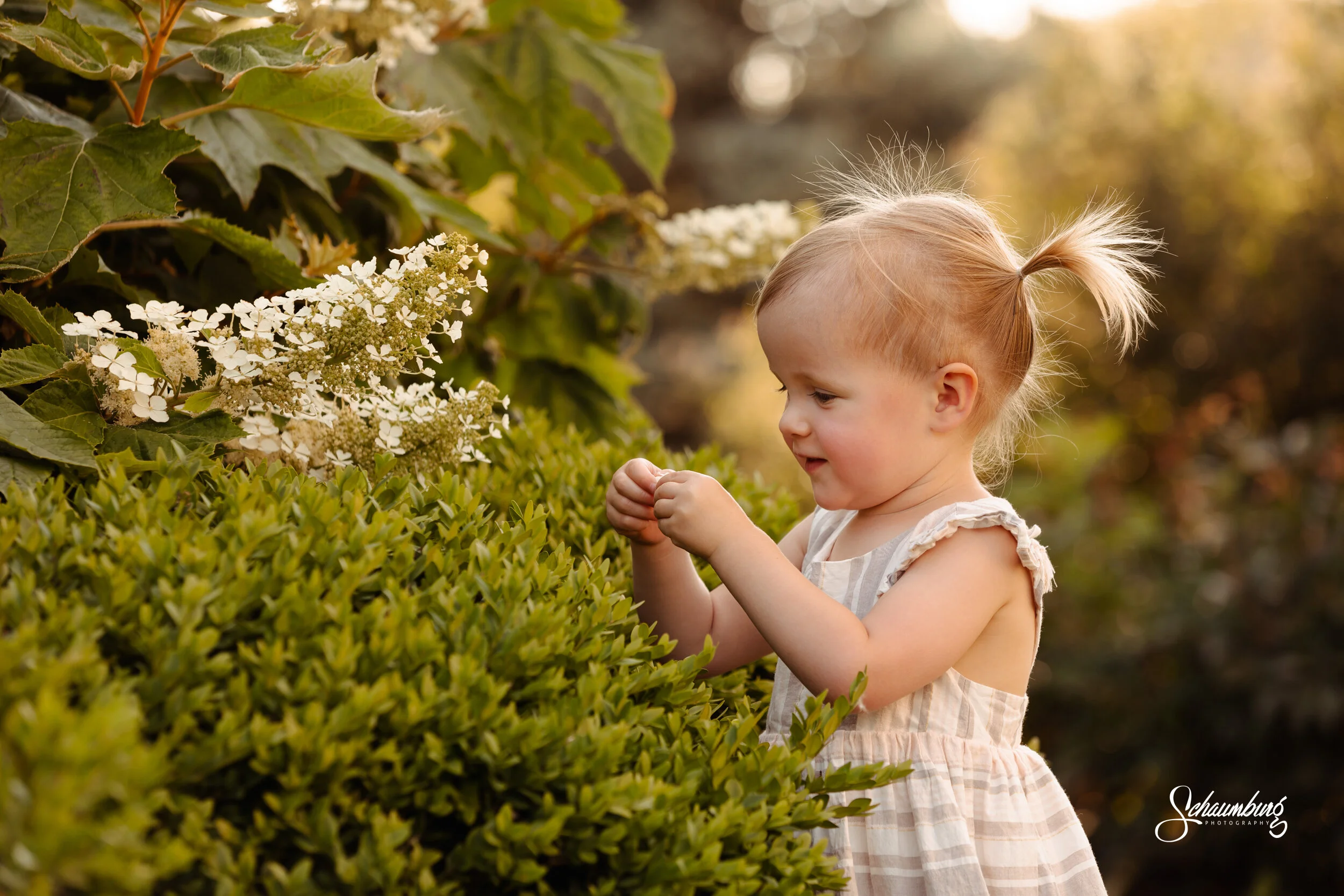 Lawrence, KS Family Session at Potter's Lake | Emmalee Schaumburg