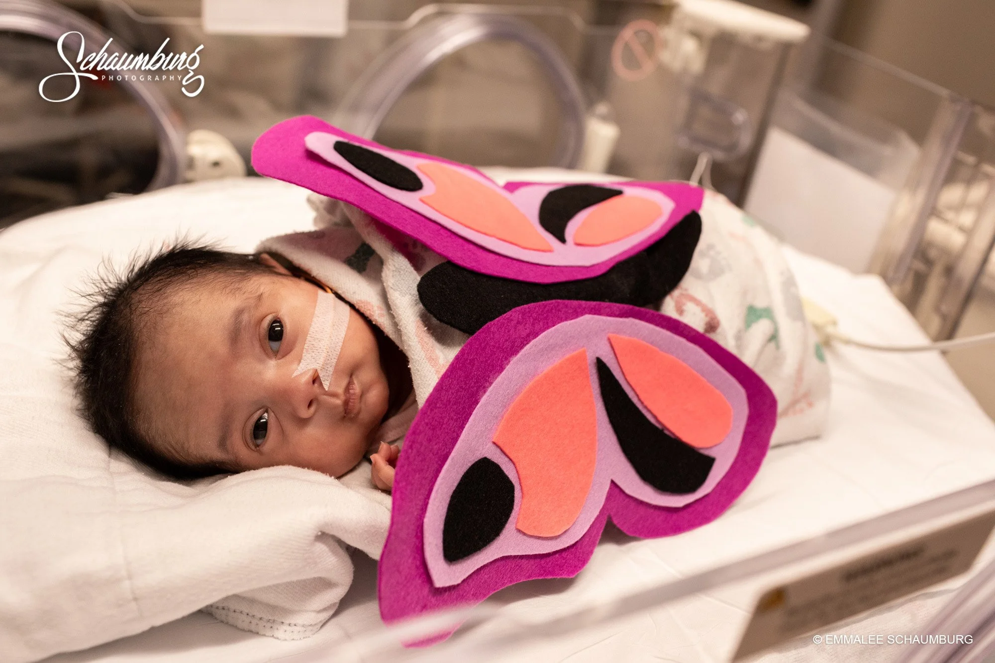 NICU Babies Celebrate Halloween at Saint Luke's Hospital of Kansas City